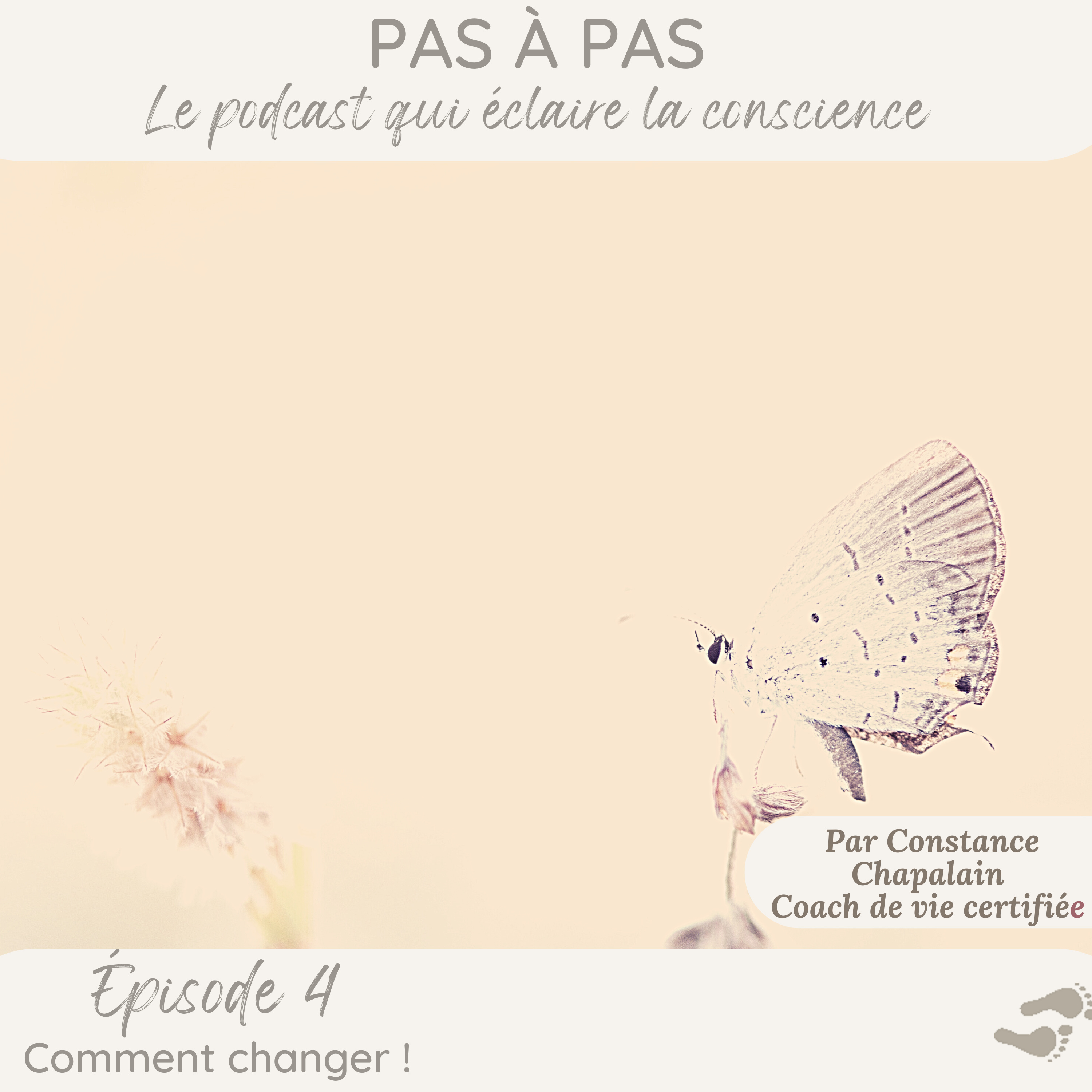 Pas à Pas