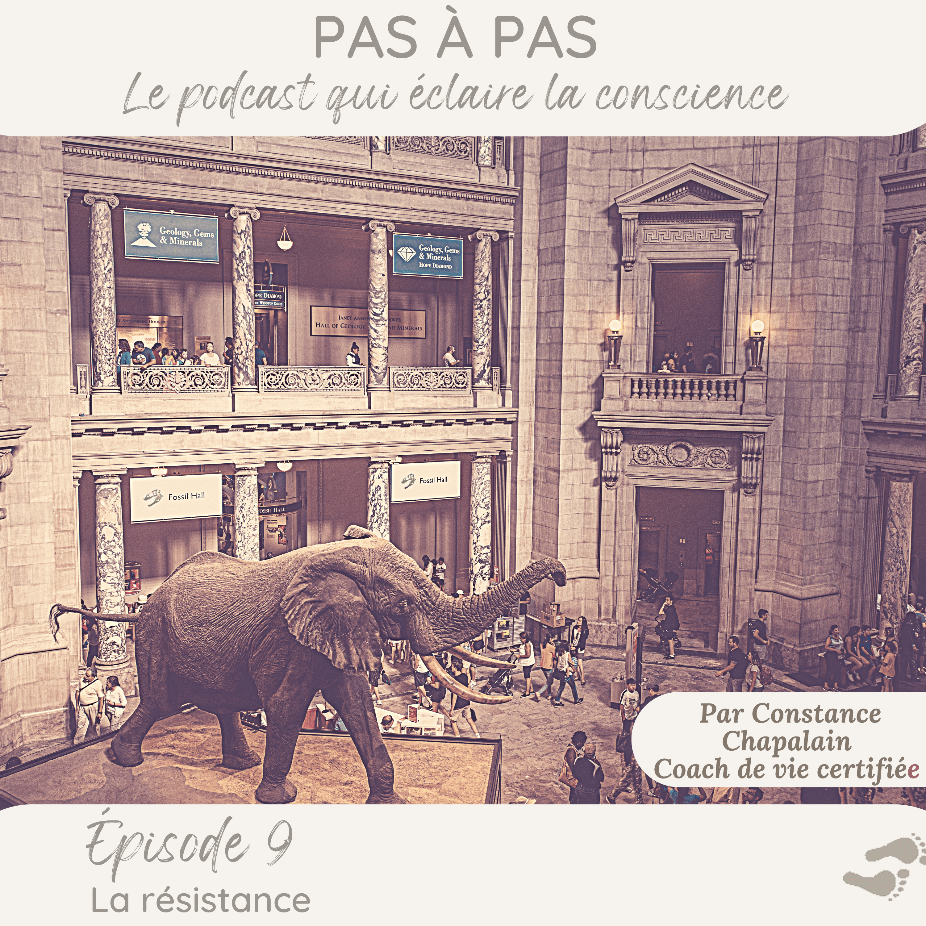 Pas à Pas