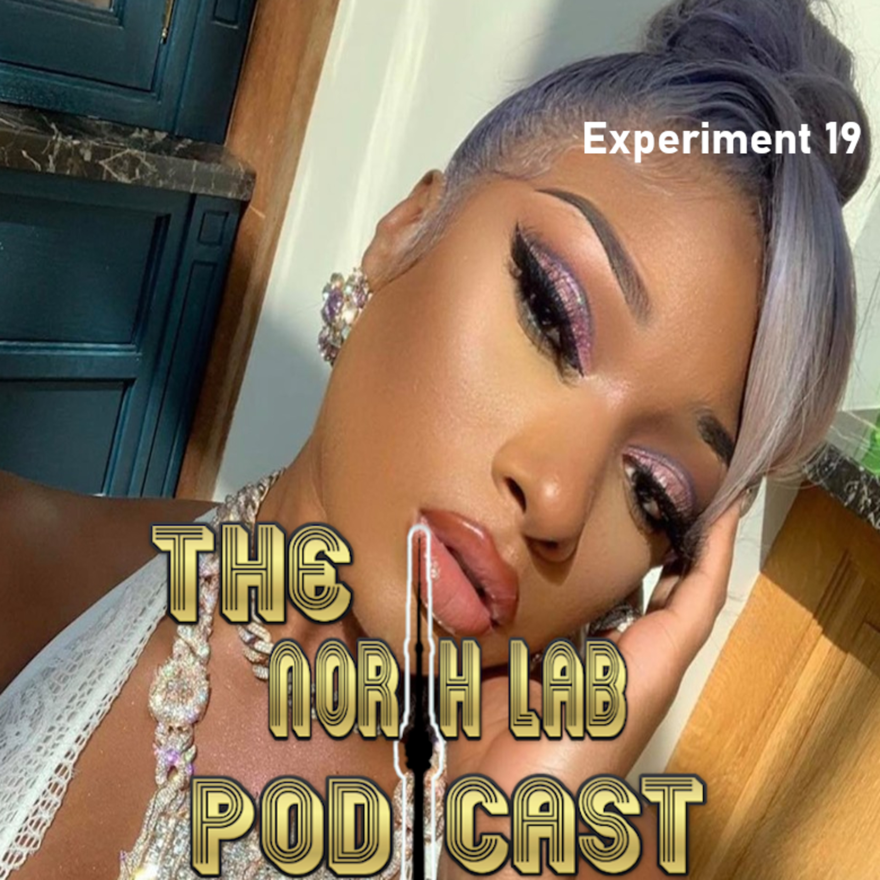 The North Lab Podcast