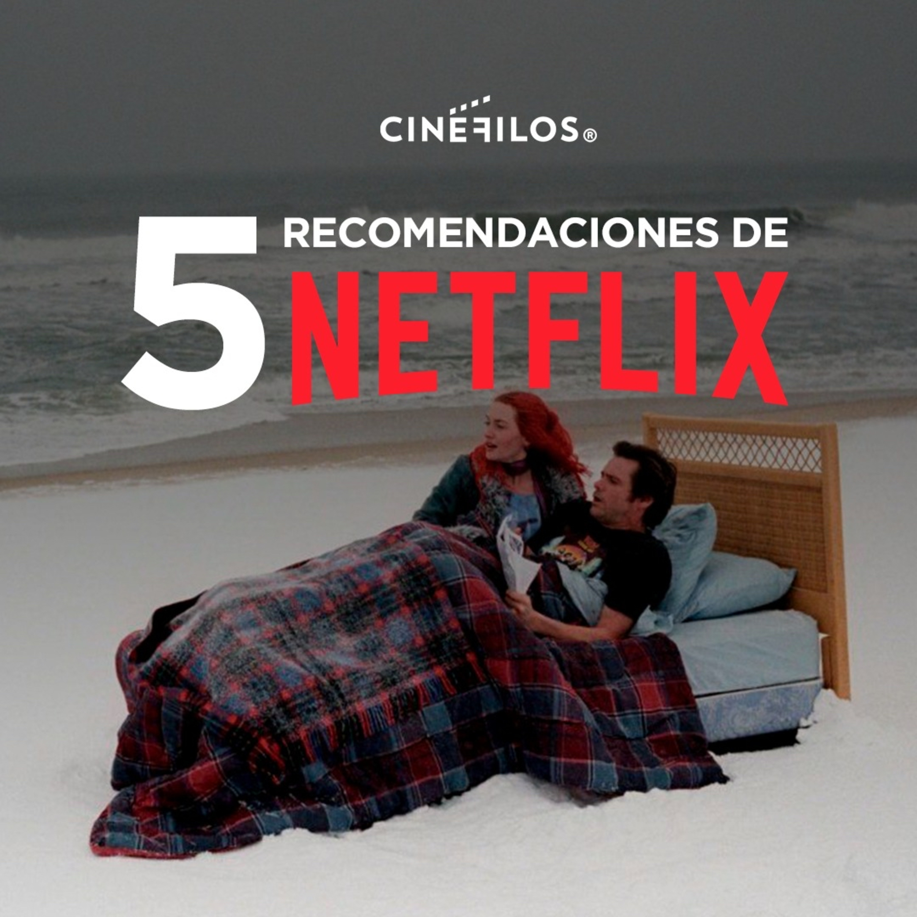 Especial Cuarentena: Recomendaciones de Netflix 1/4