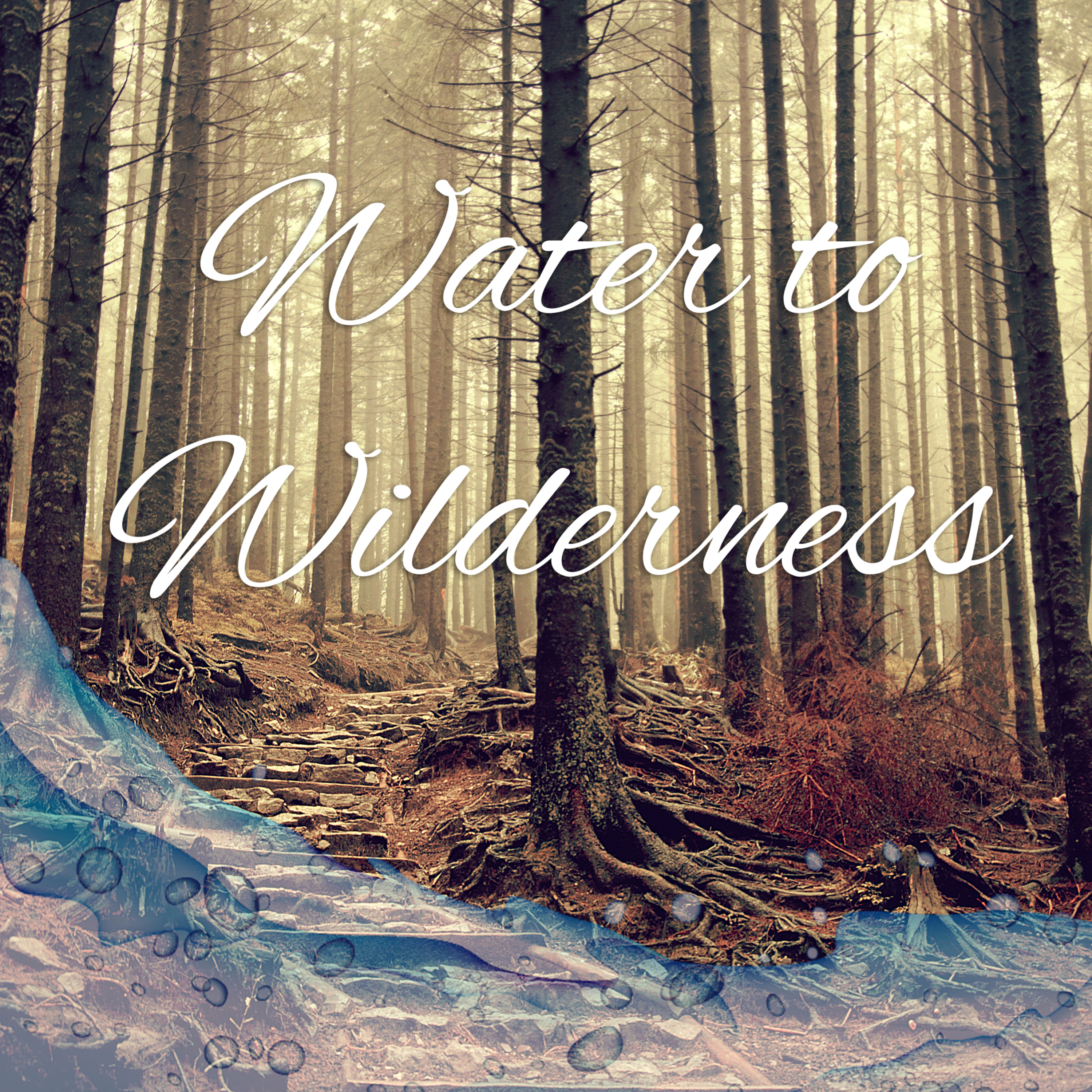 Sermon - Into the Wilderness