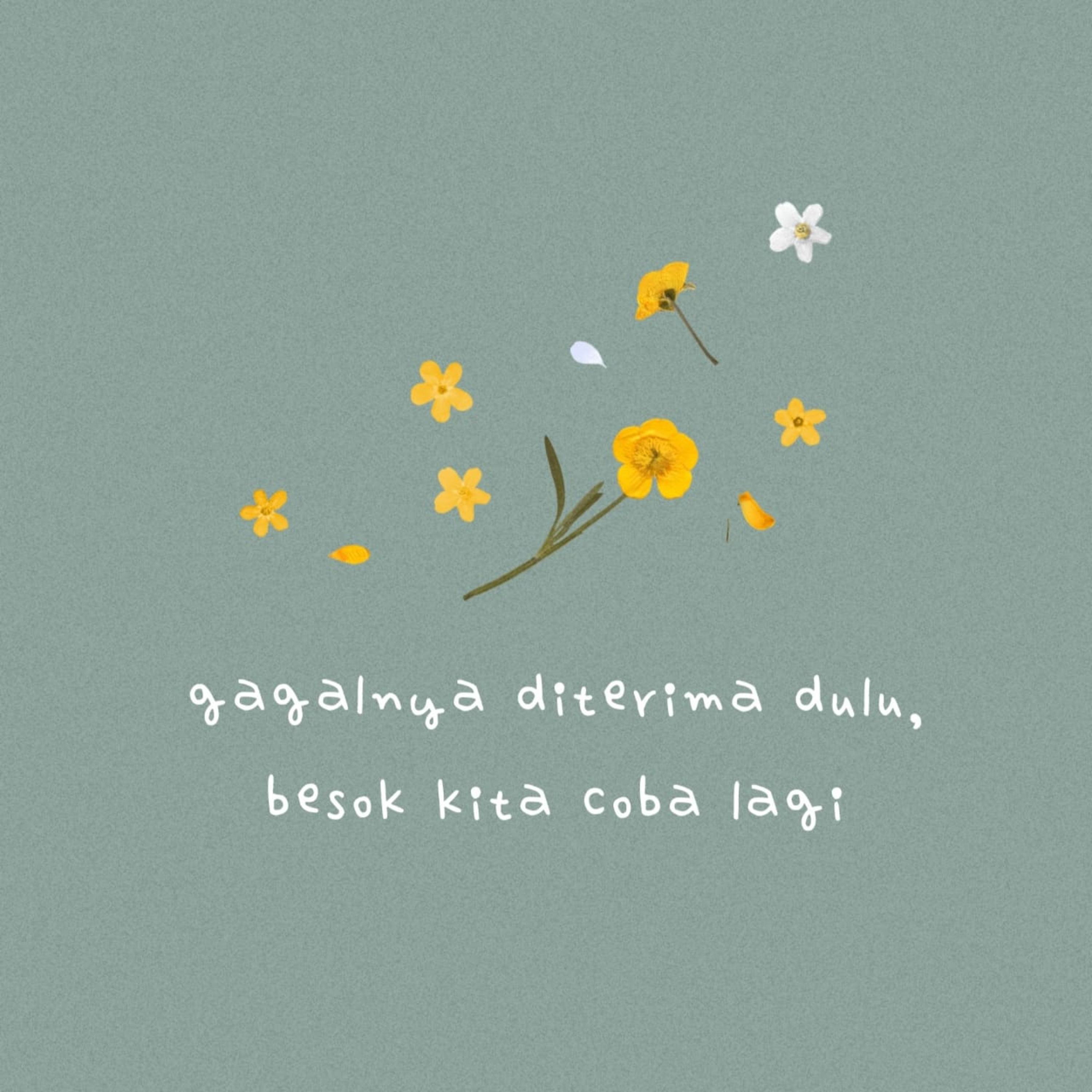 Gagalnya diterima dulu, besok kita coba lagi