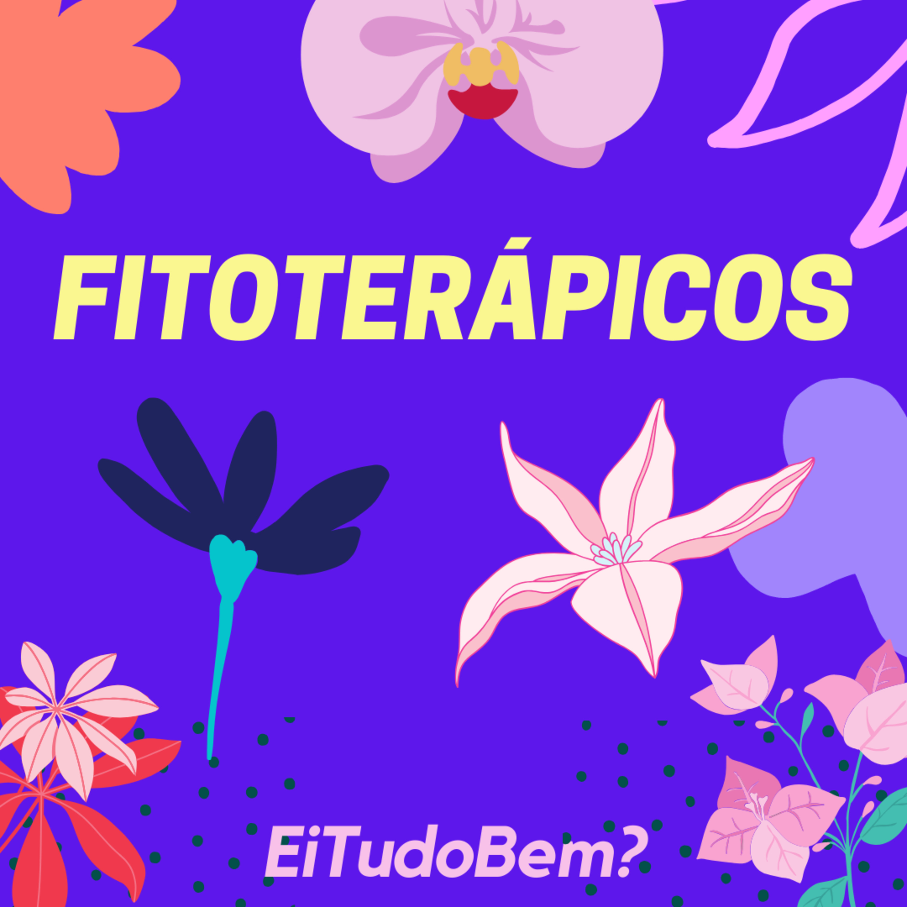 Ei, tudo bem?