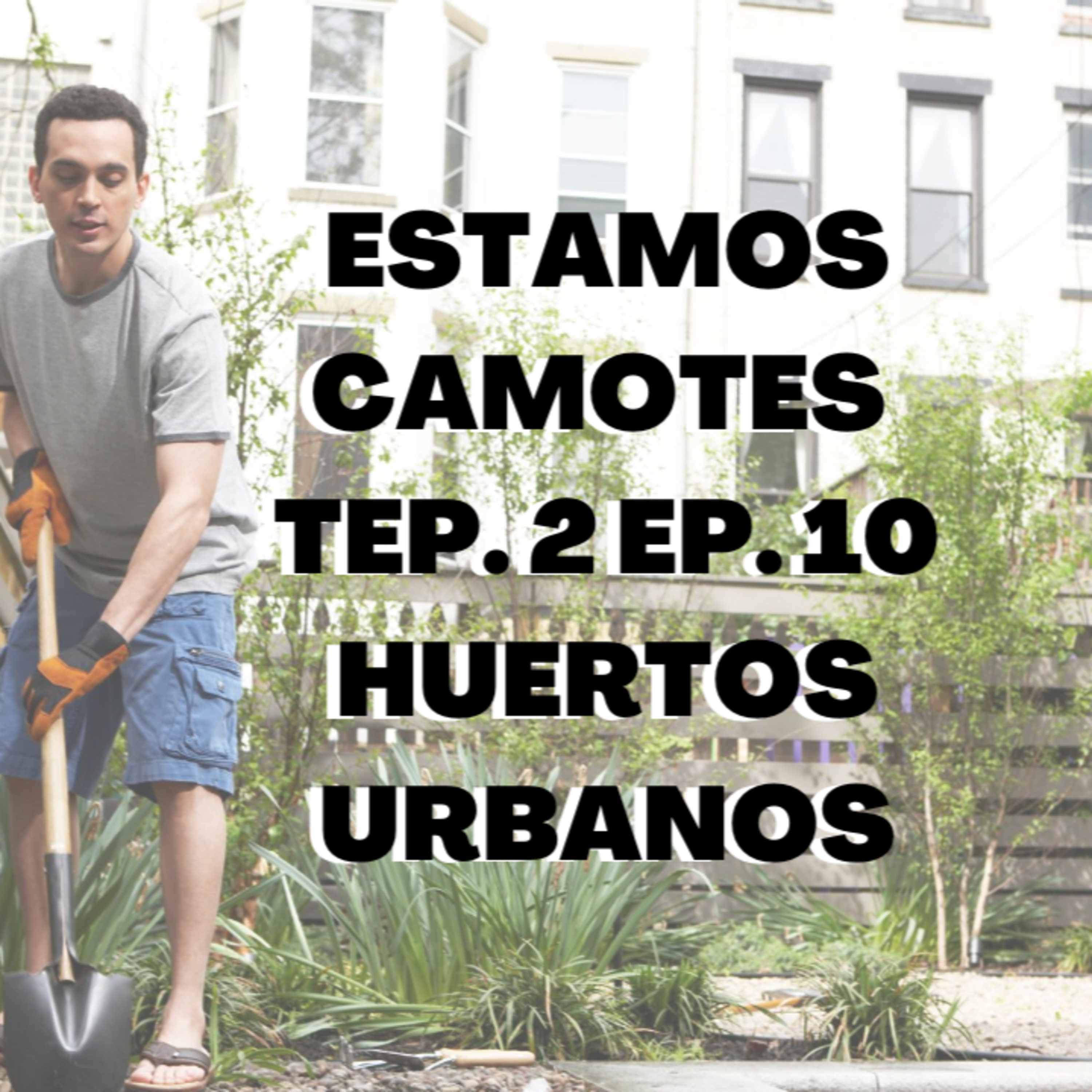 ESTAMOS CAMOTES- CHEF MODE MEDIA