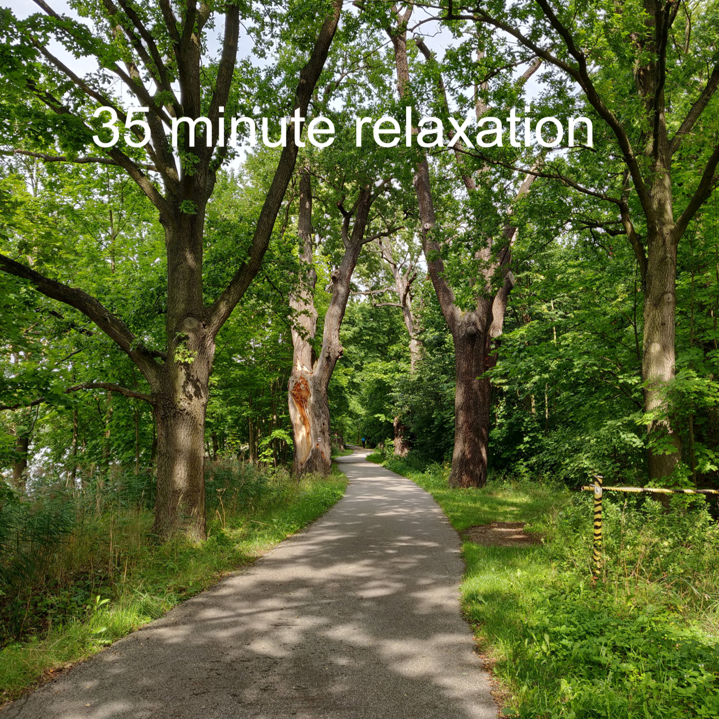 35 Minute Relaxation