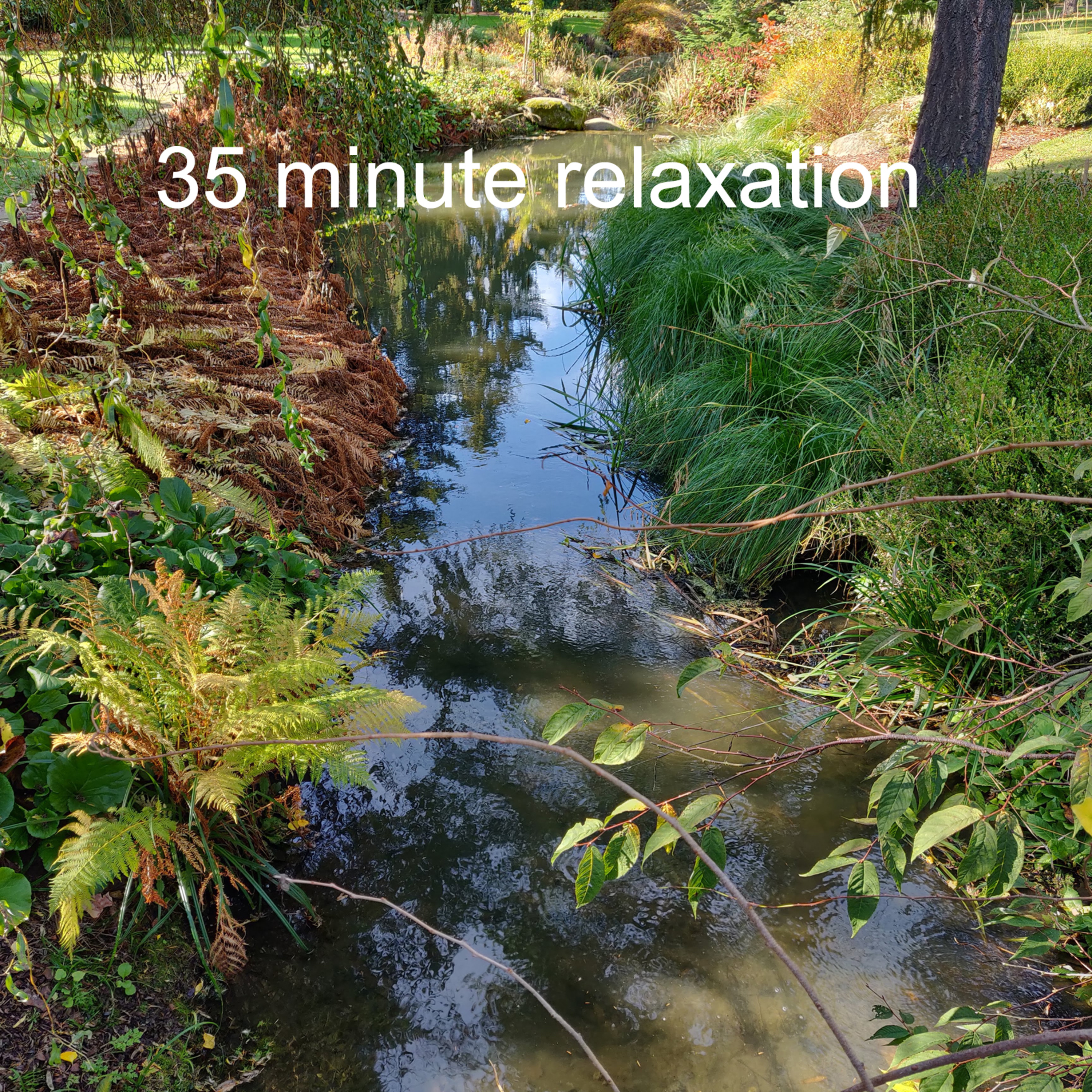 35 Minute Relaxation