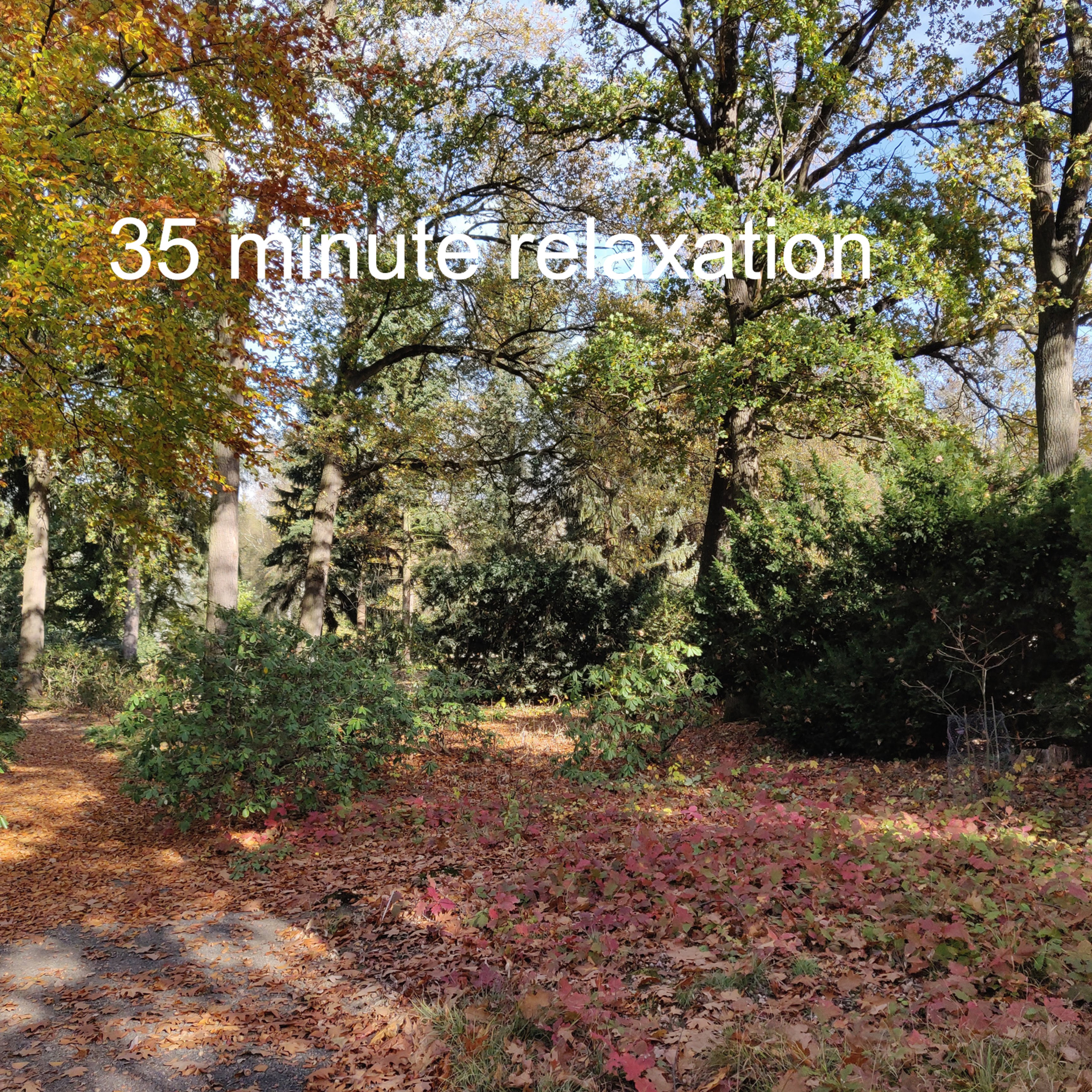 35 Minute Relaxation