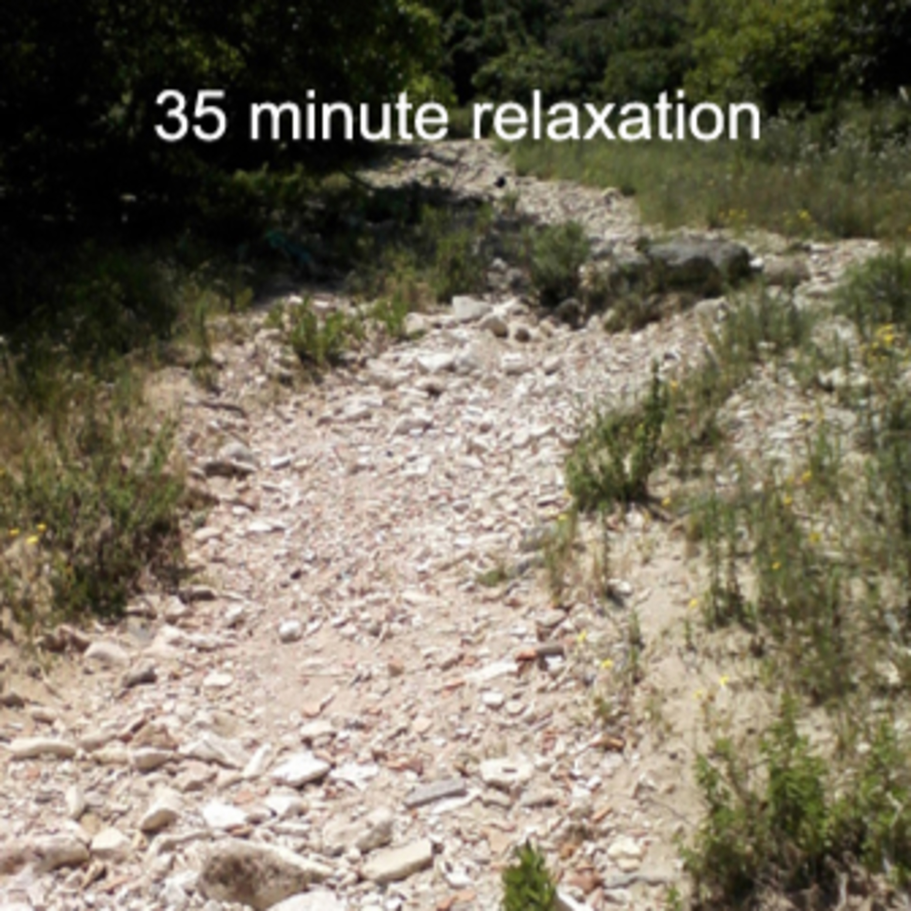 35 Minute Relaxation