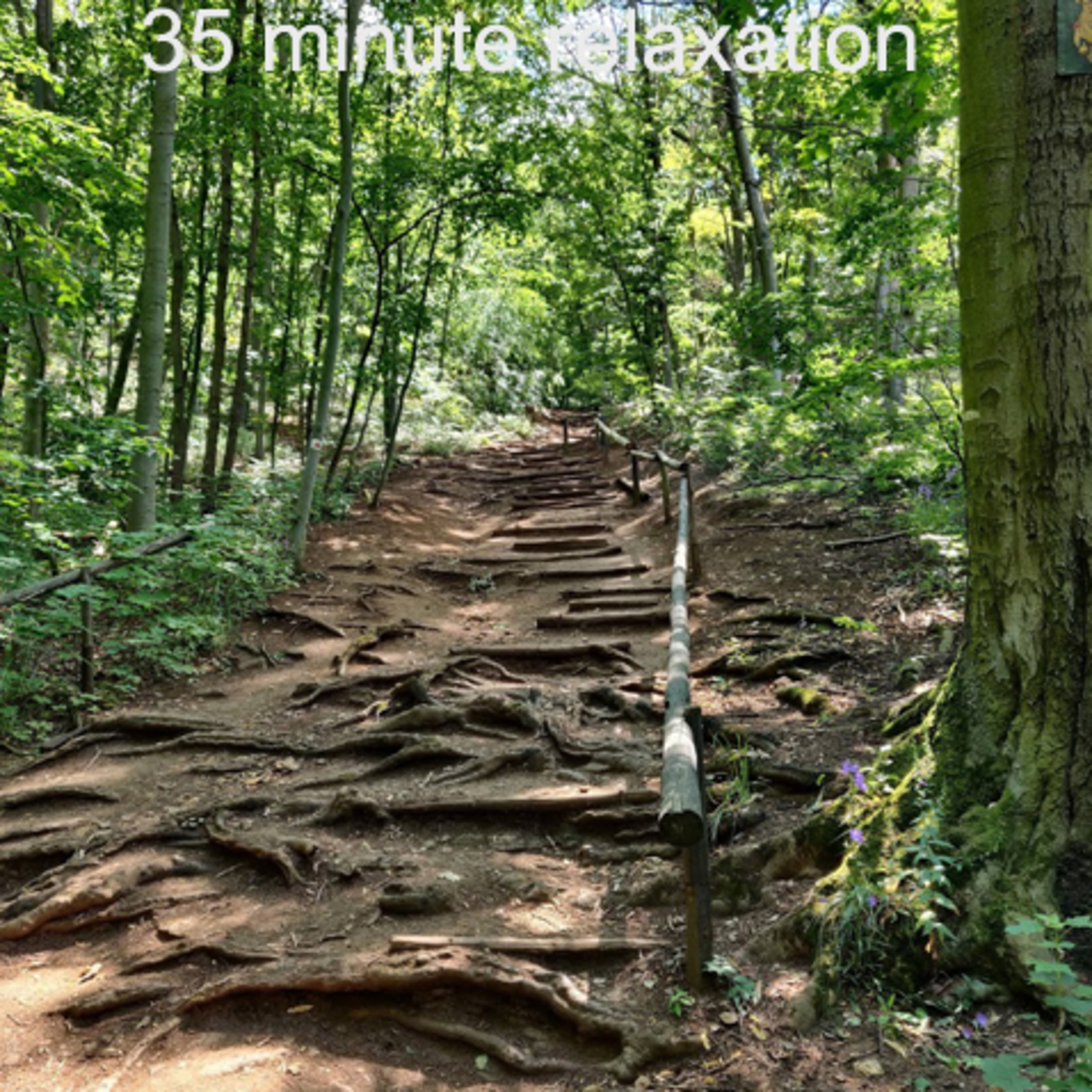 35 Minute Relaxation