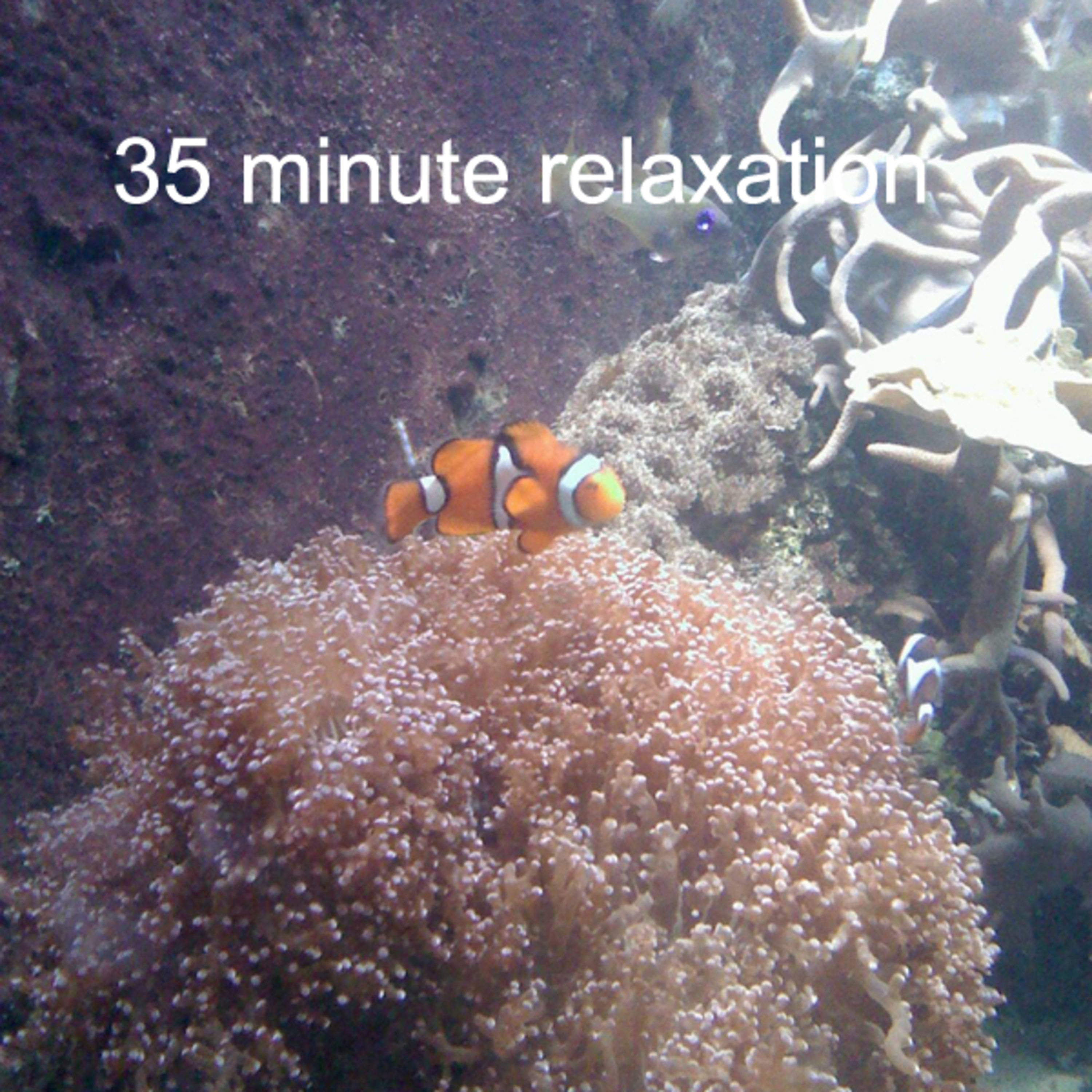 35 Minute Relaxation