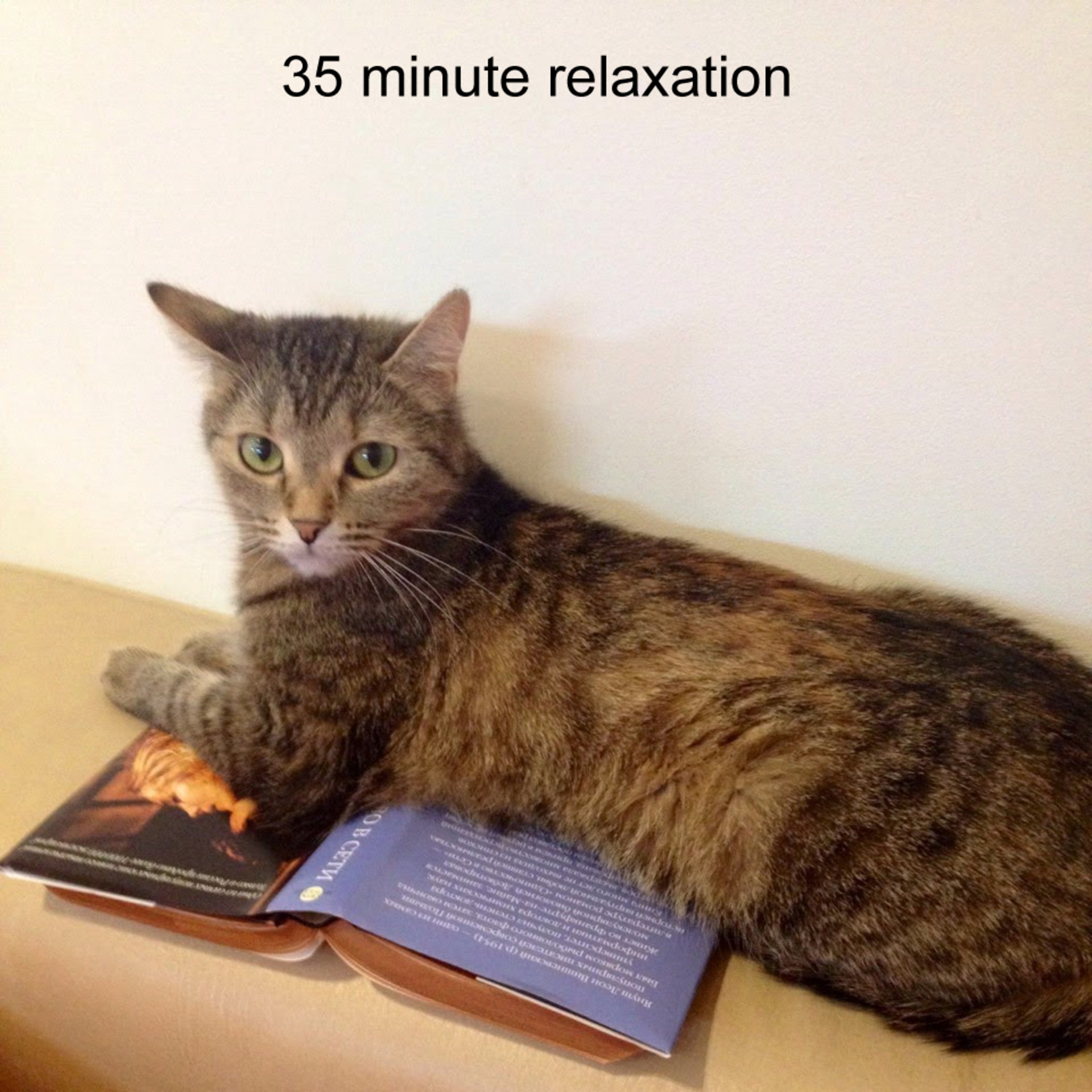 35 Minute Relaxation