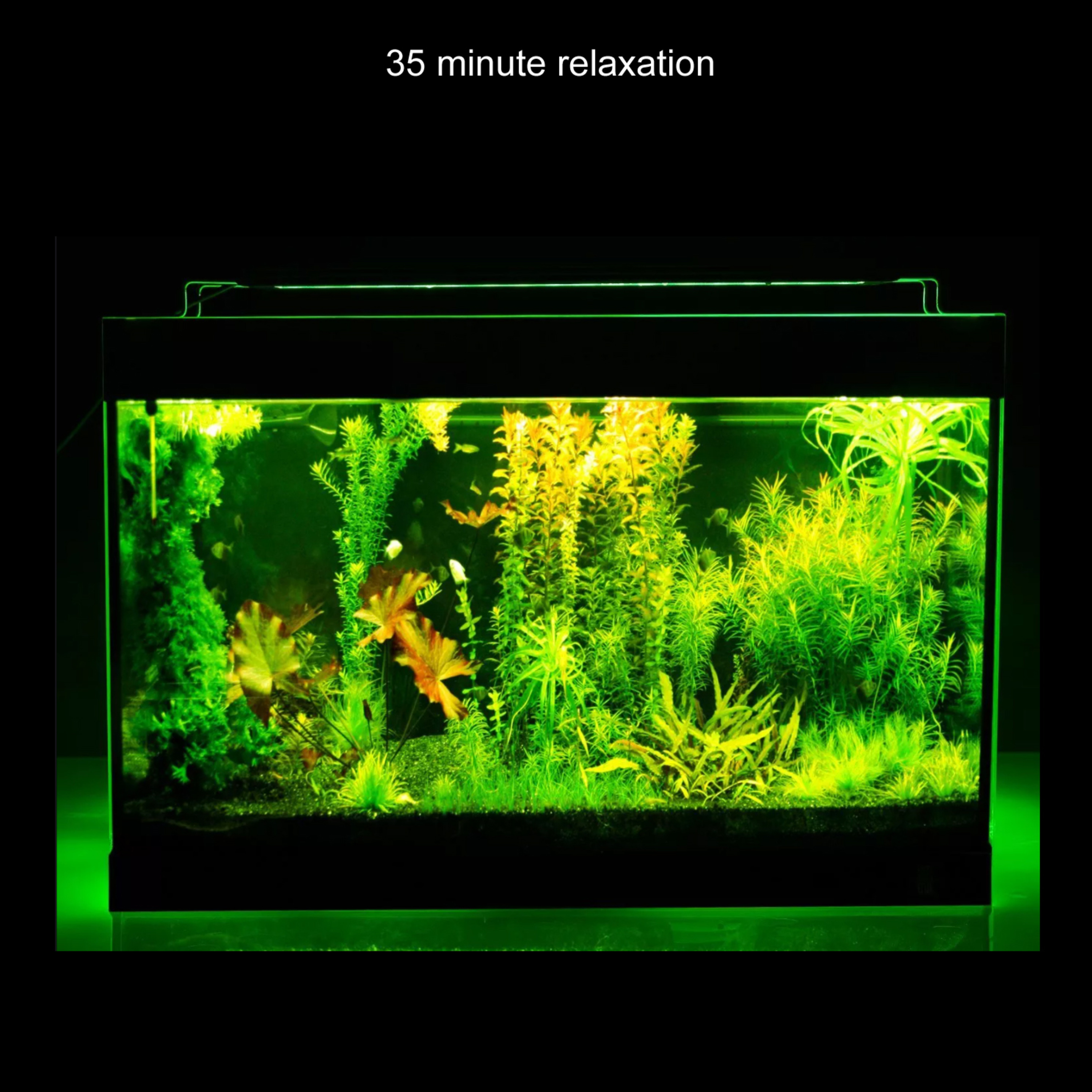 35 Minute Relaxation