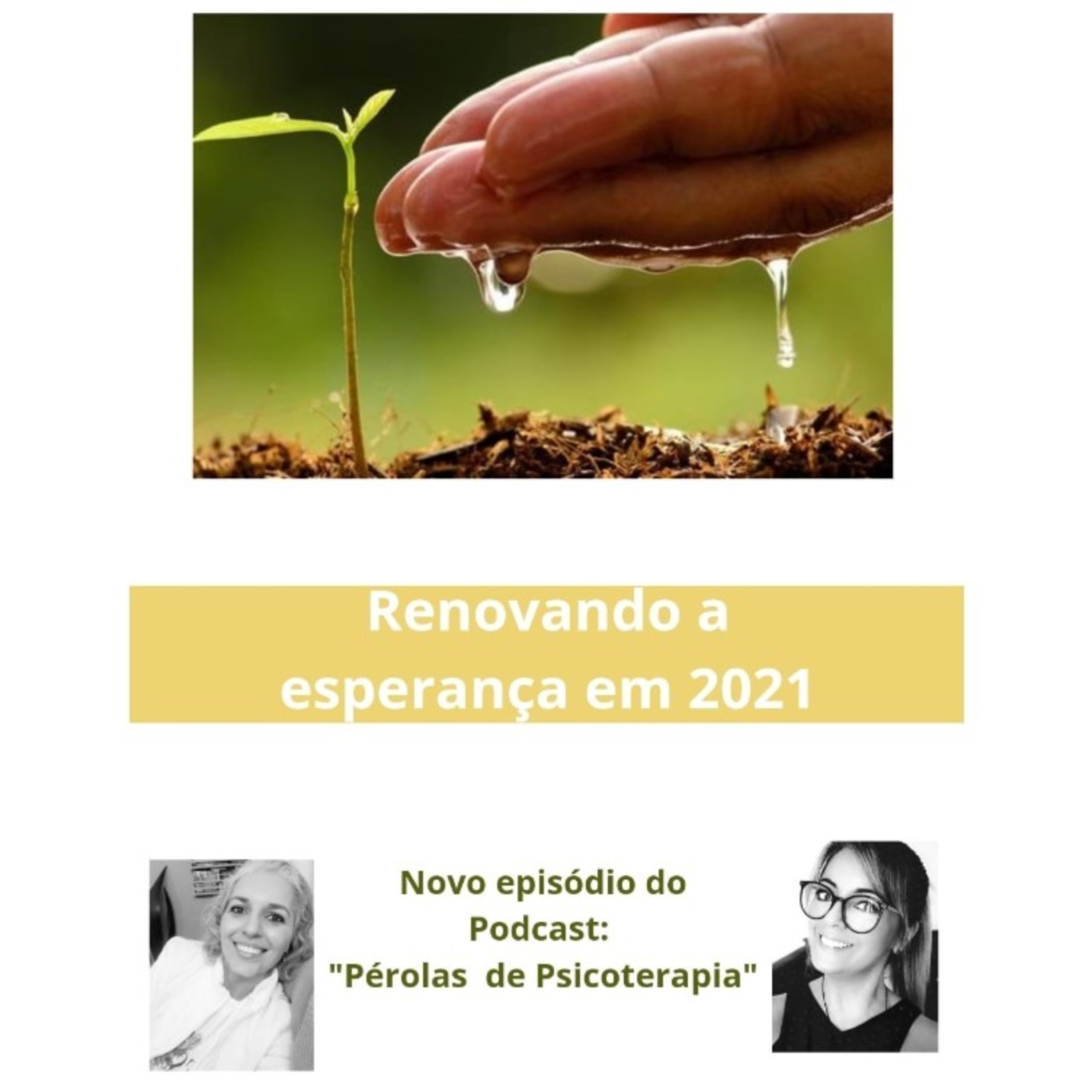 Pérolas de Psicoterapia