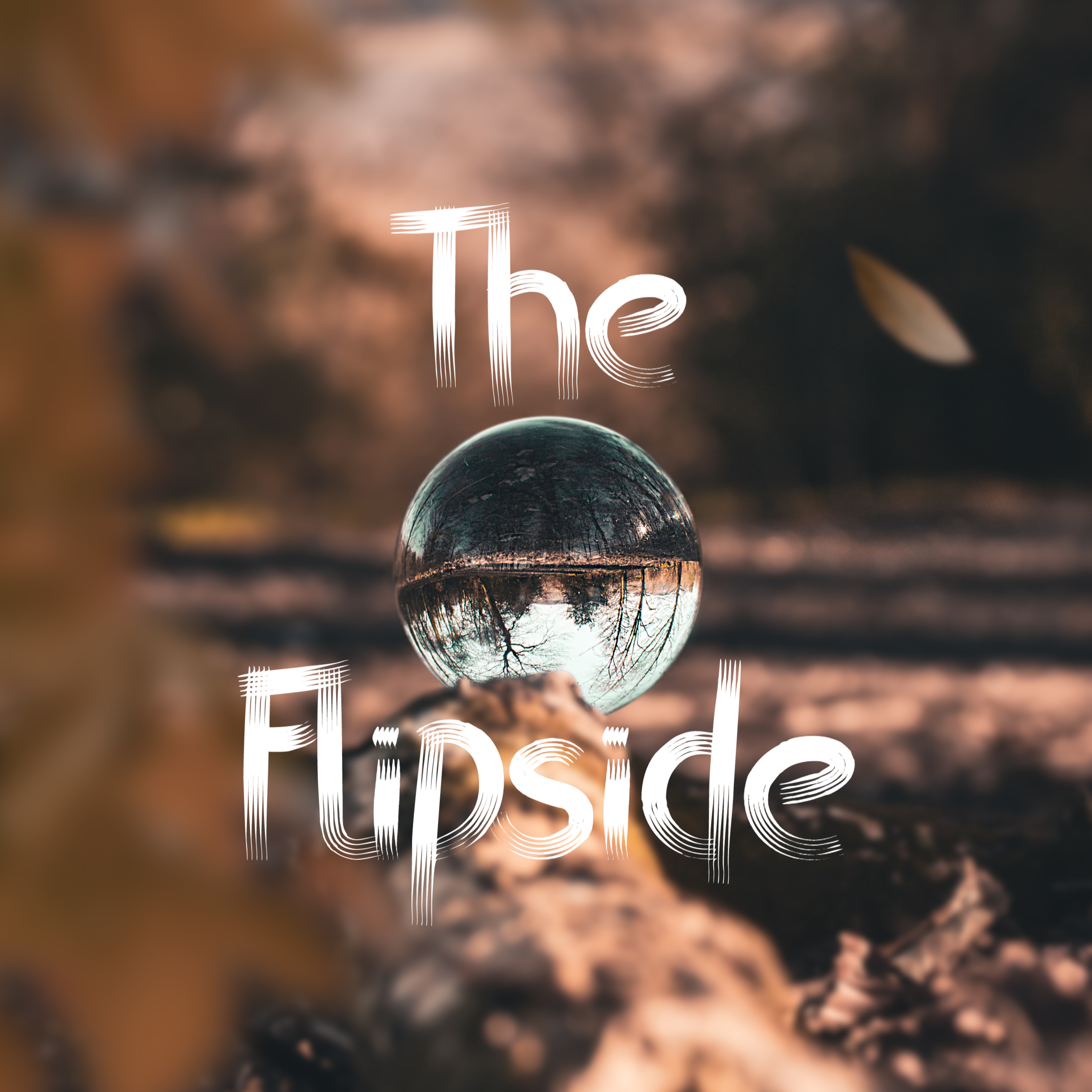 The Flipside