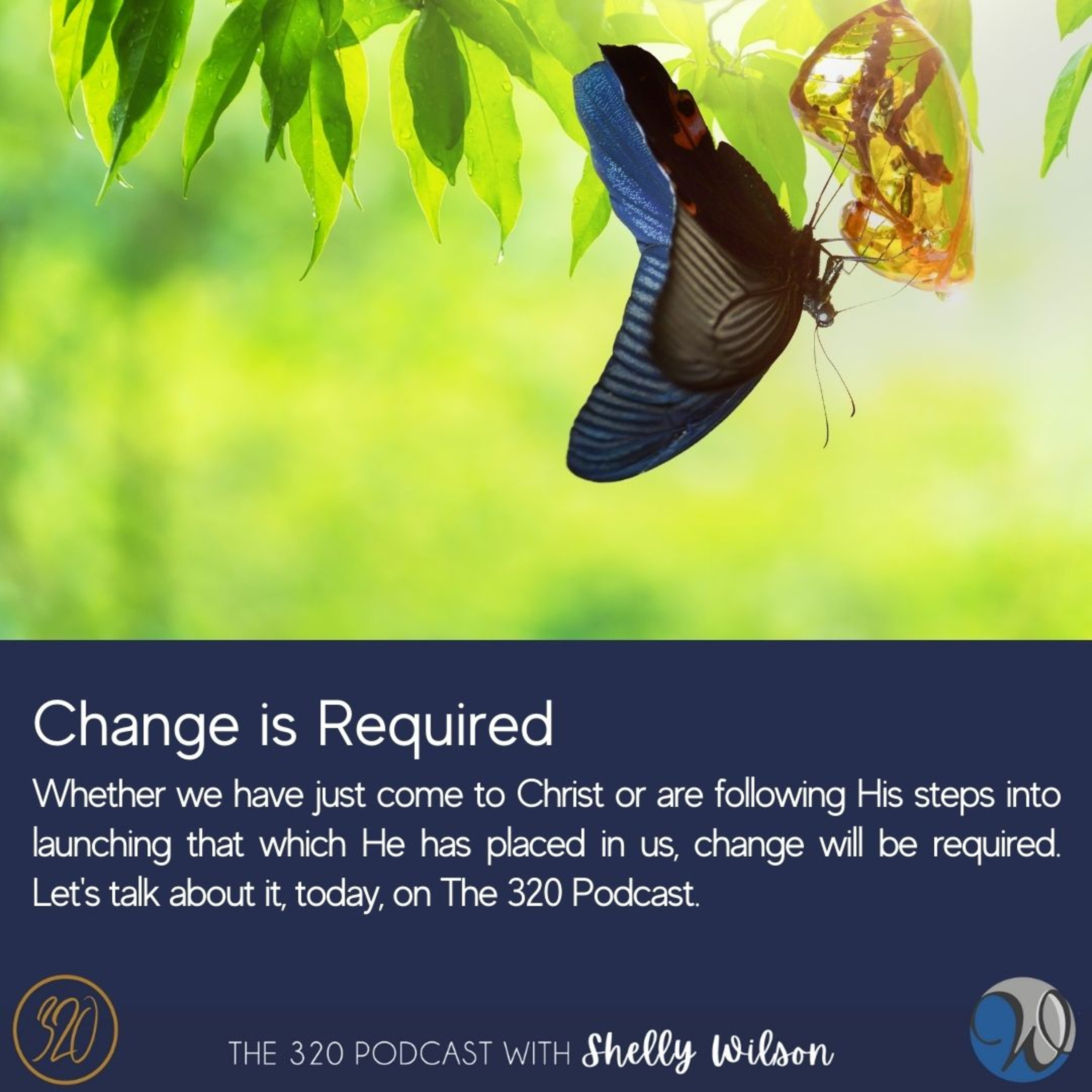 The 320 Podcast