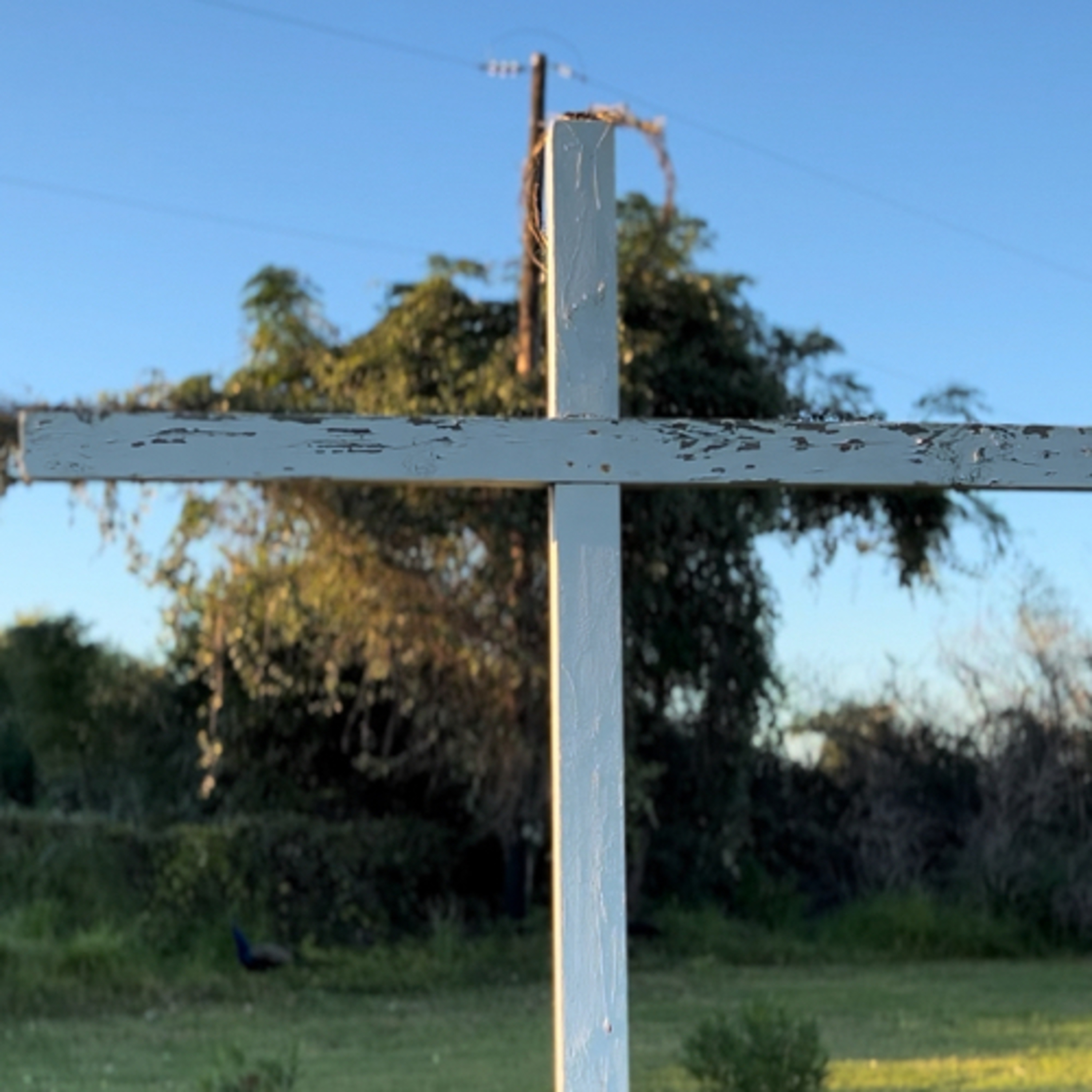 The South Texas Preacher