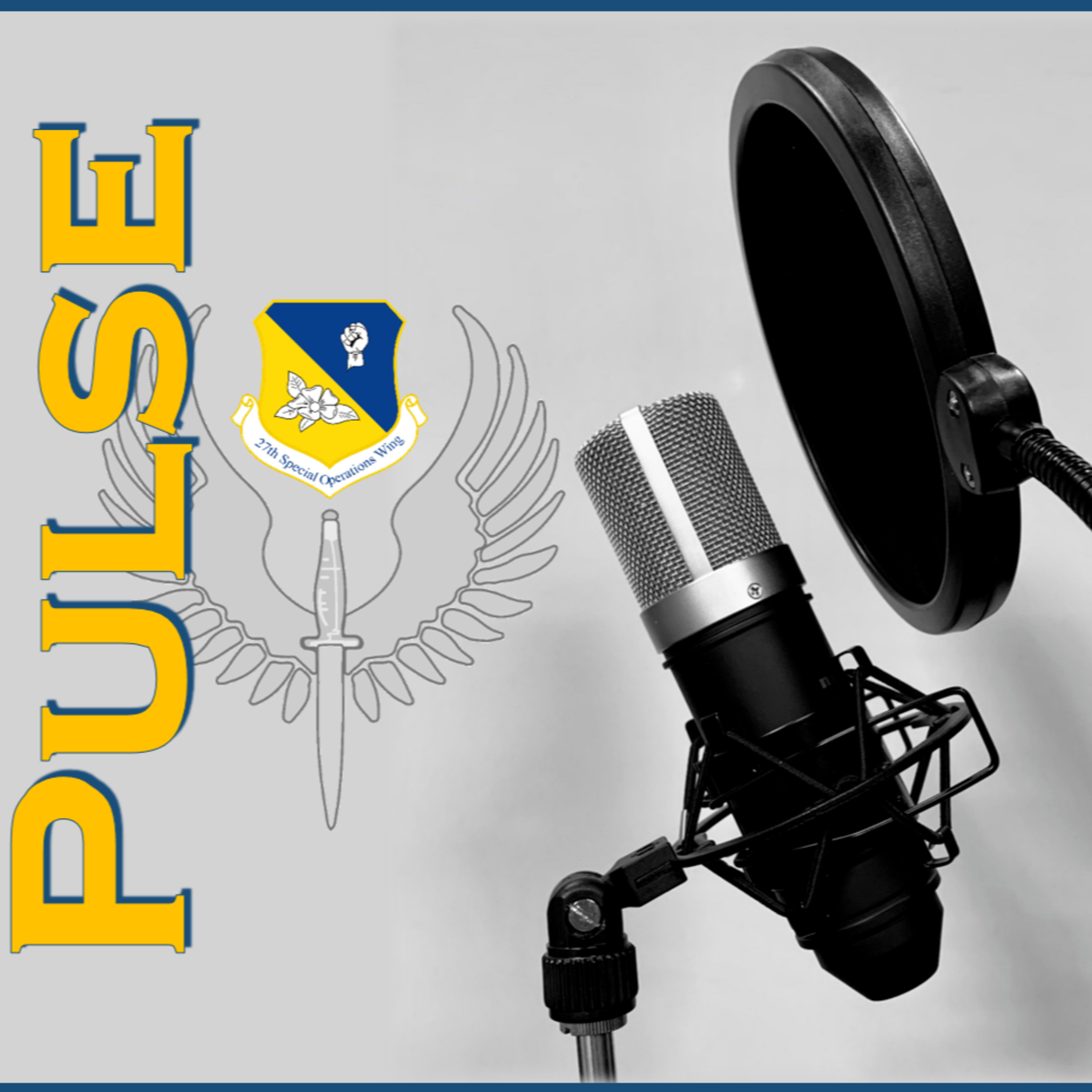 PULSE Cannon AFB