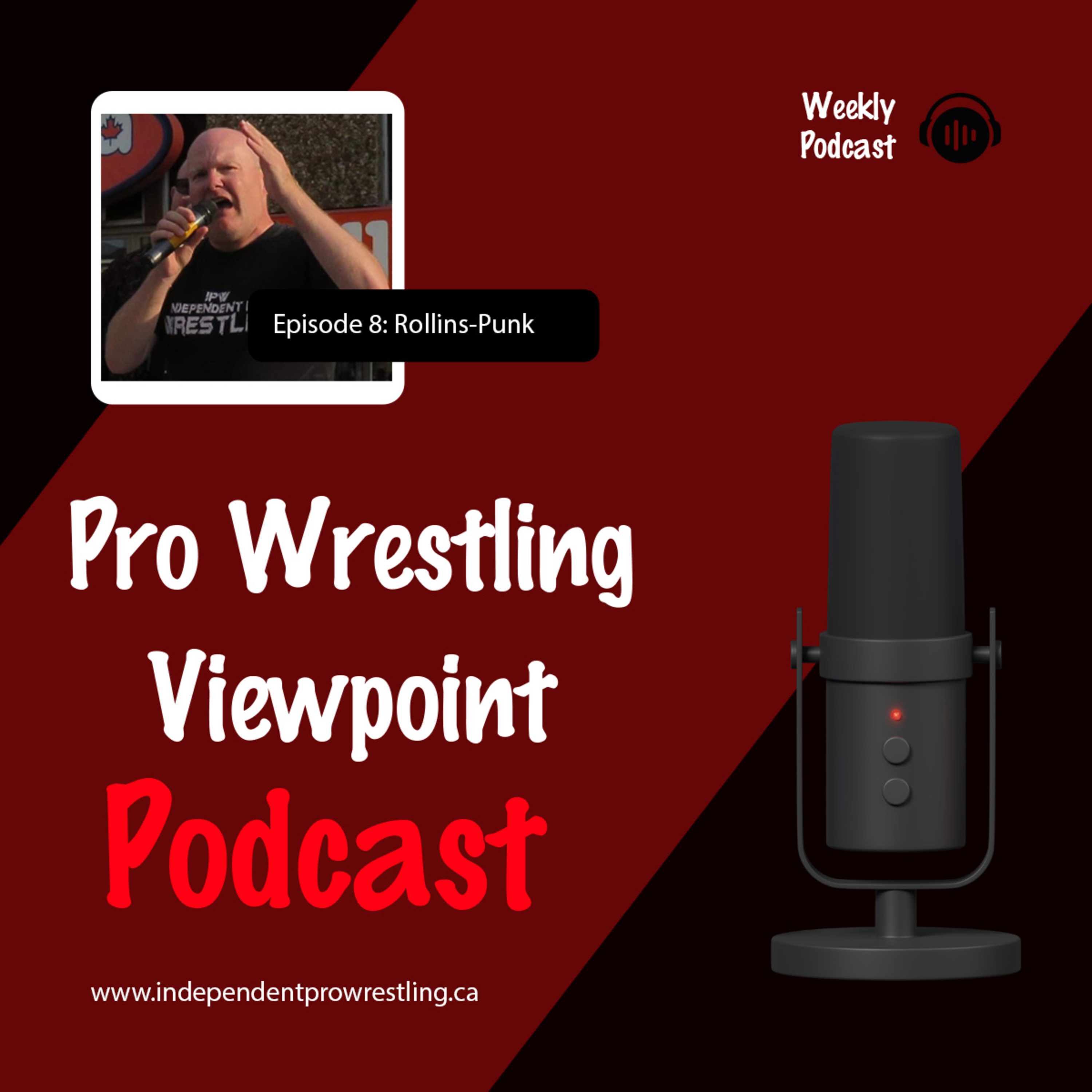 Pro Wrestling Viewpoint