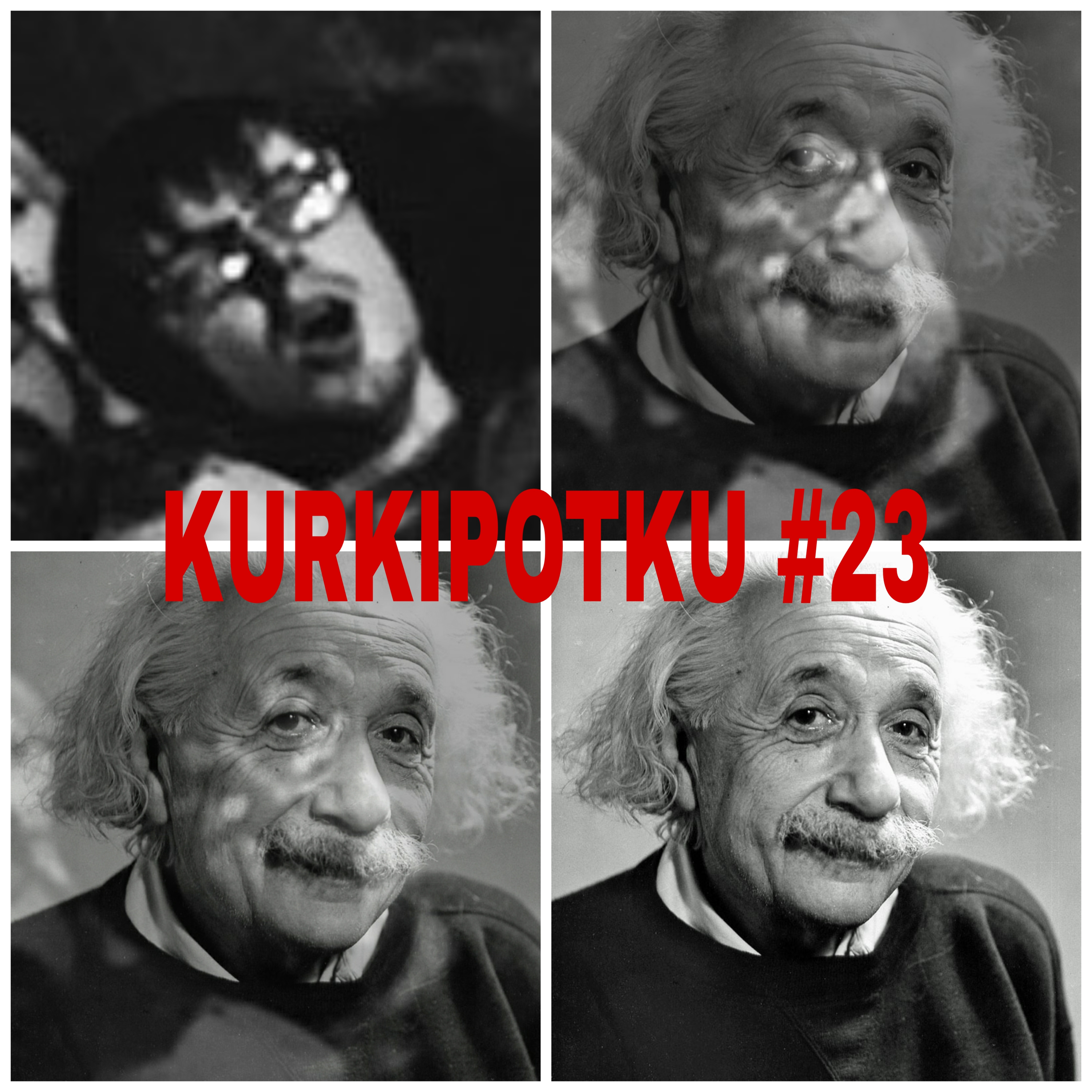 Kurkelan Kurkipotku