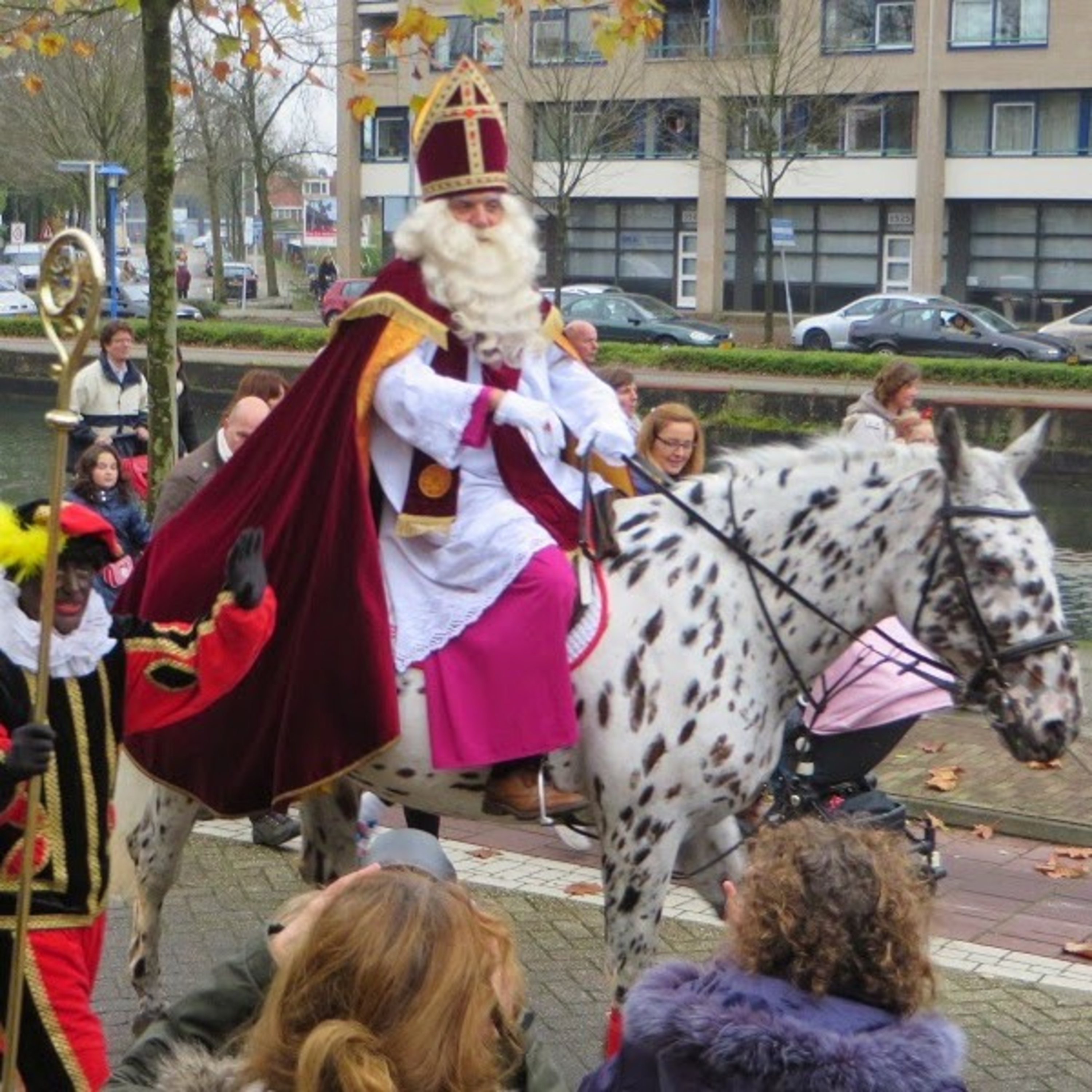 世界一幸せ! オランダの子供ライフ