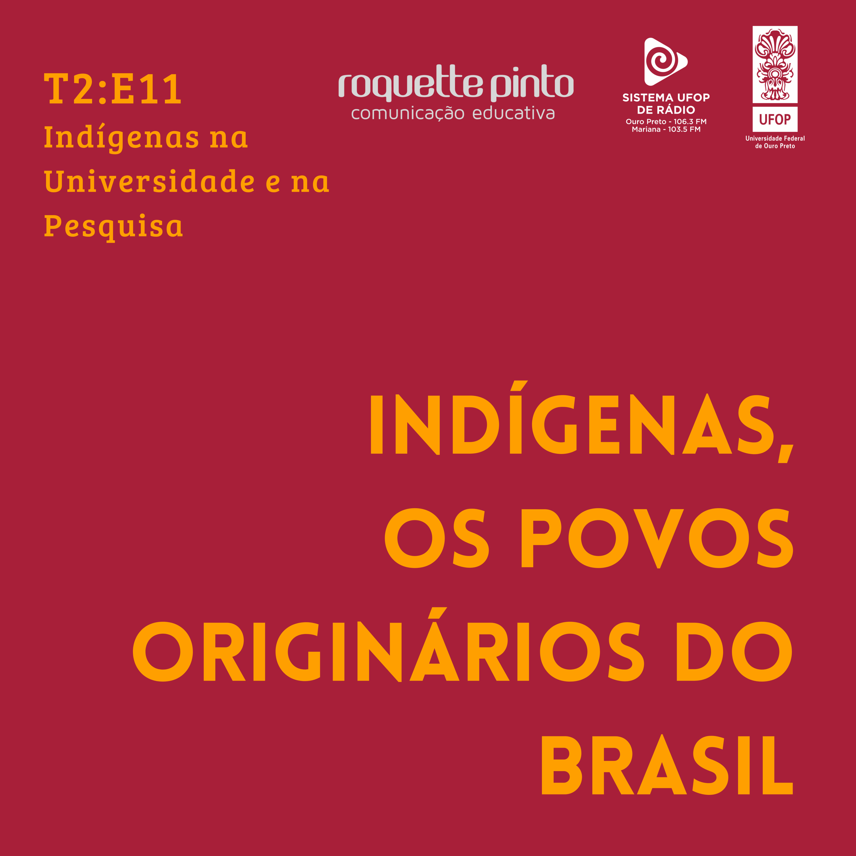 Indígenas. T2. EP#11. Indígenas na Universidade e na Pesquisa episode artwork