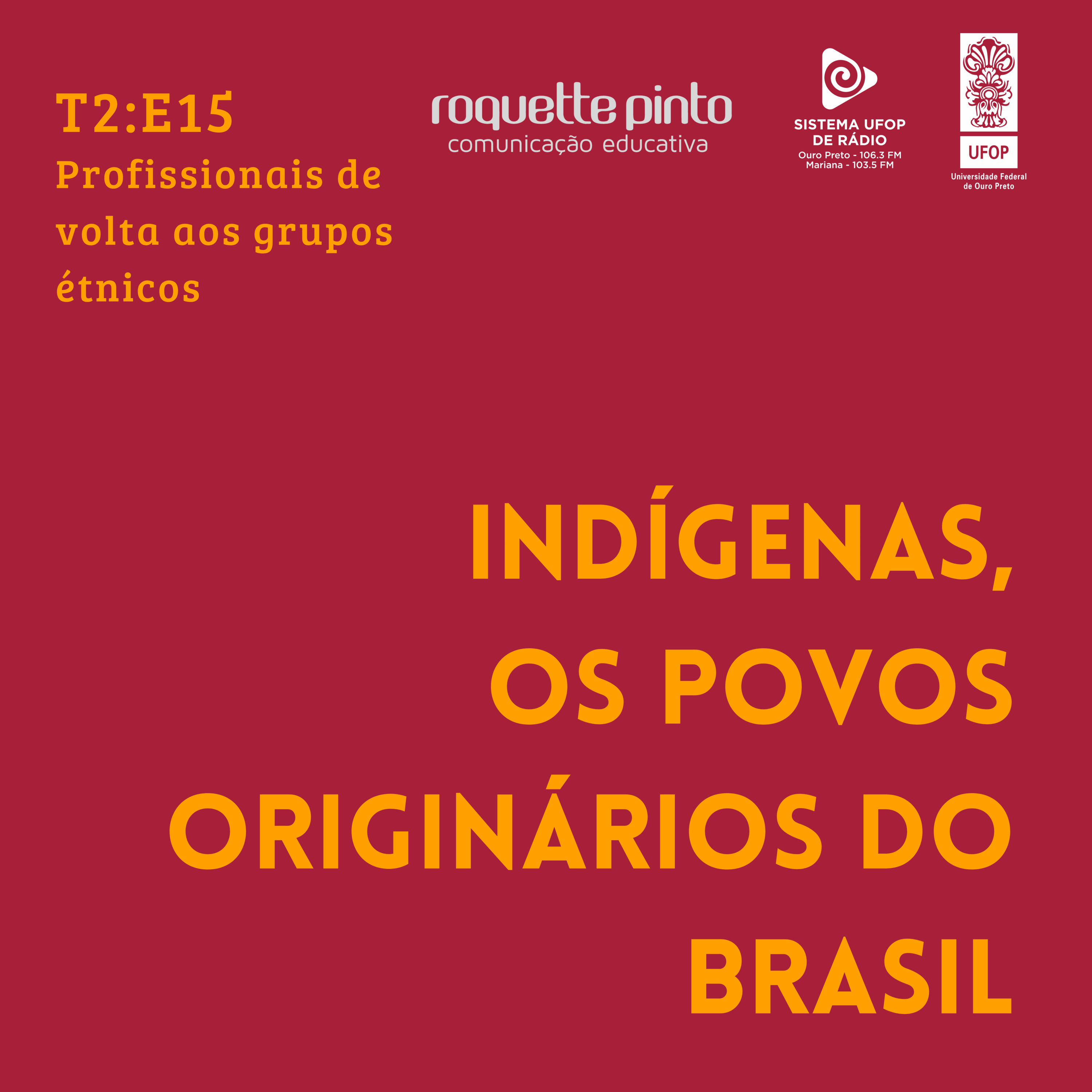 Indígenas. T2. EP#15. Profissionais de volta aos grupos étnicos episode artwork