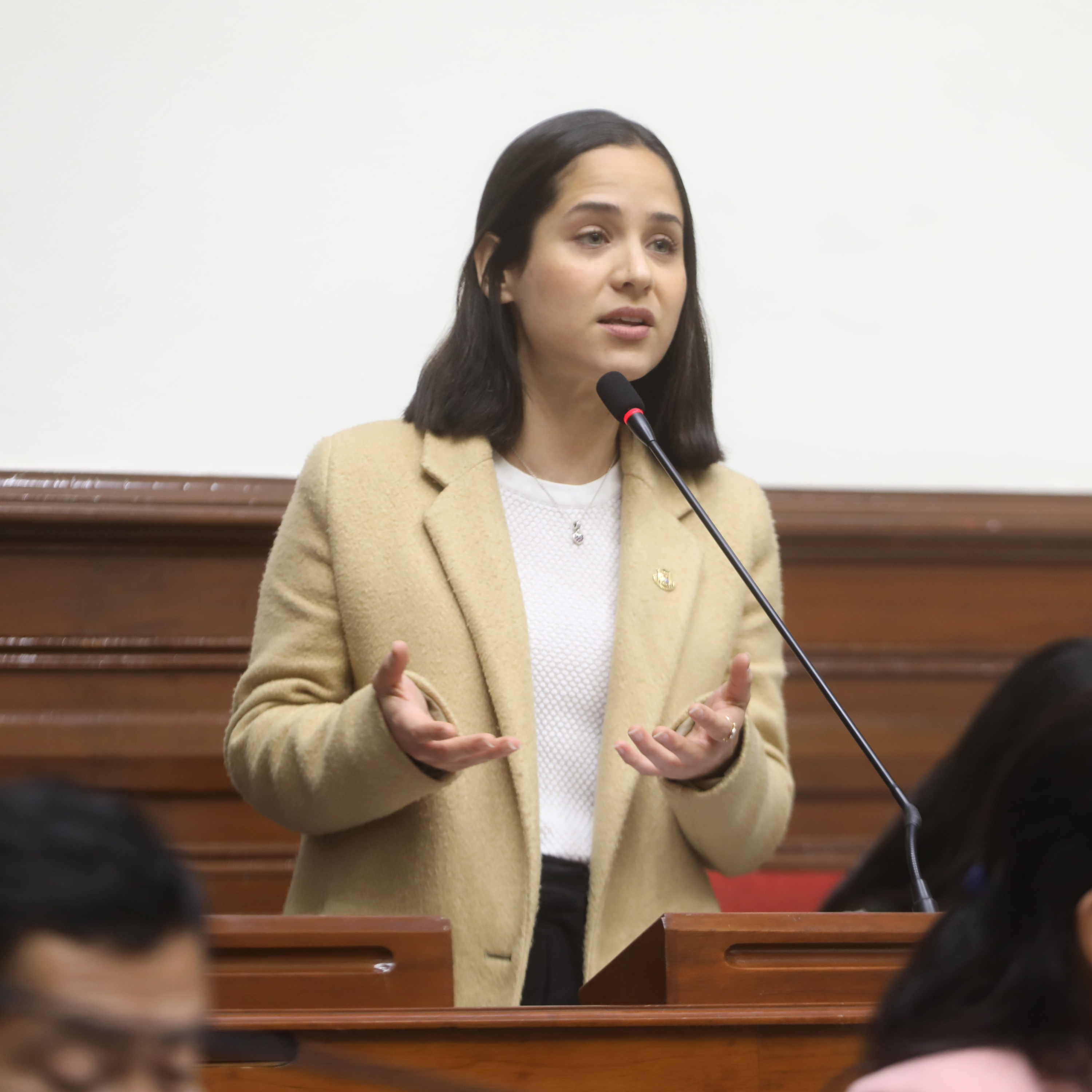 Entrevista a la presidenta de la Comisión de Trabajo, Sigrid Bazán. episode artwork