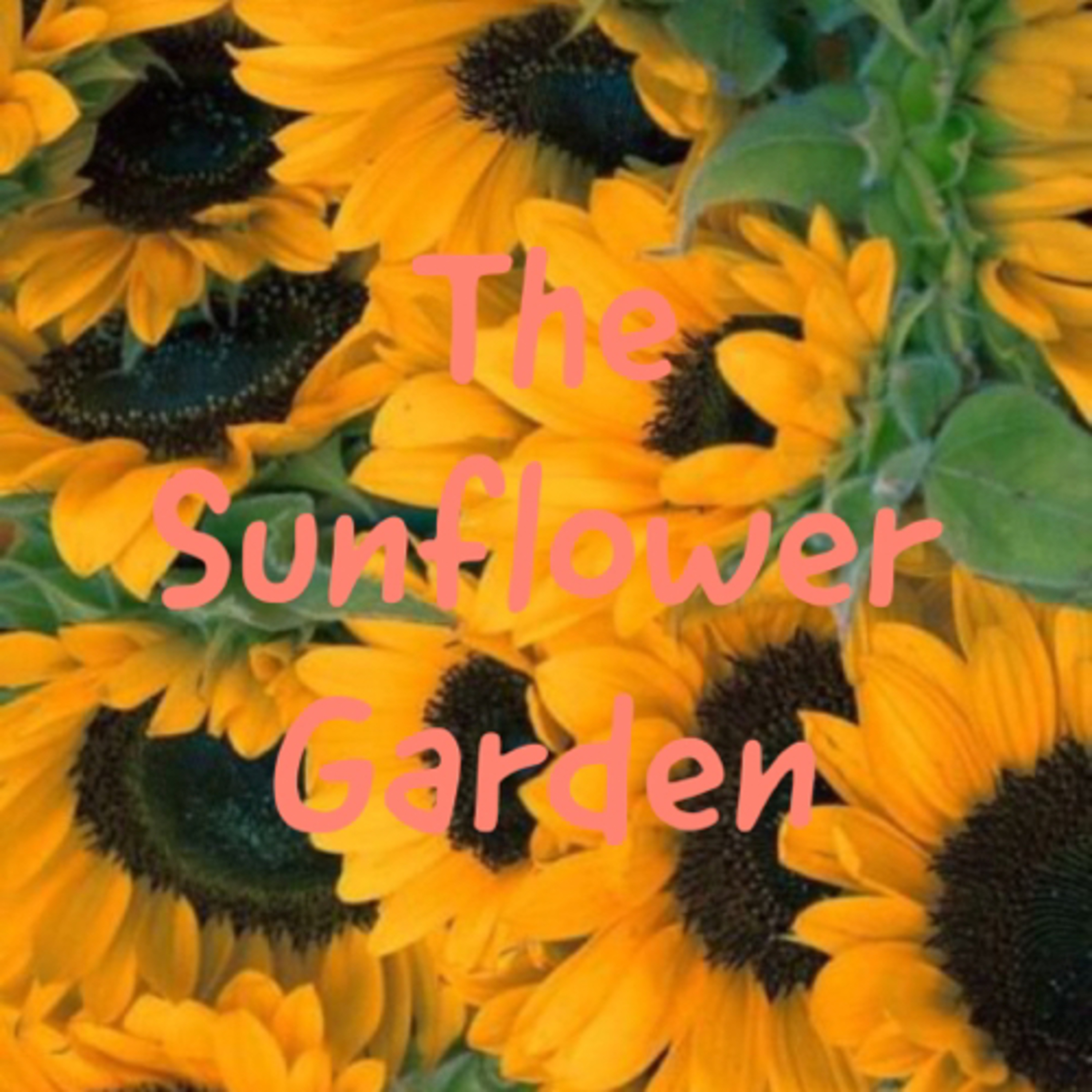The Sunflower Garden Podcast