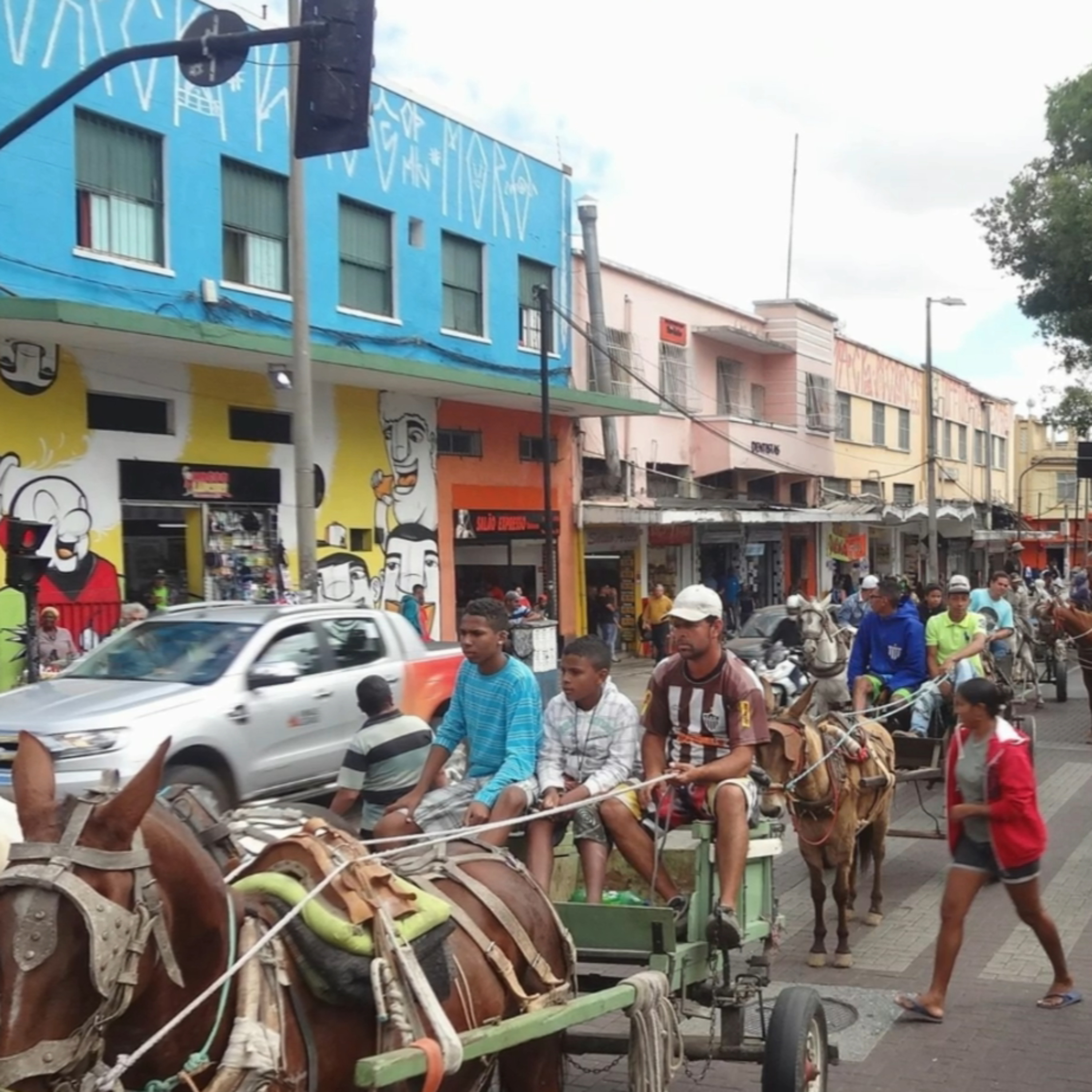 A cidade é nossa roça! Nossa luta é na carroça! - A luta da Comunidade Tradicional Carroceira pelos direitos humanos e animais - Frei Gilvander na Rádio Irundiara FM 104,5 - Jacaraci - BA - 15/1/2021 episode artwork