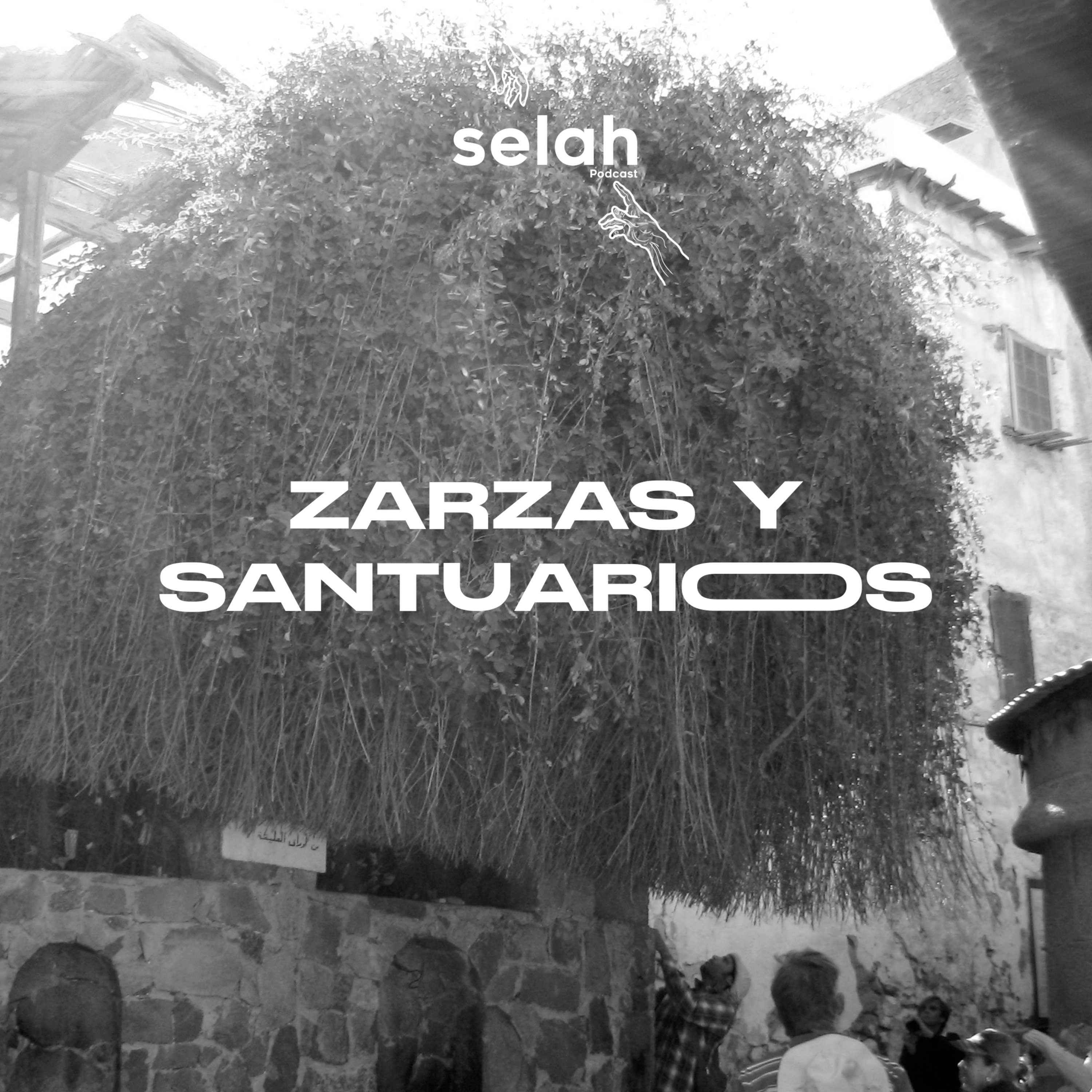 Selah
