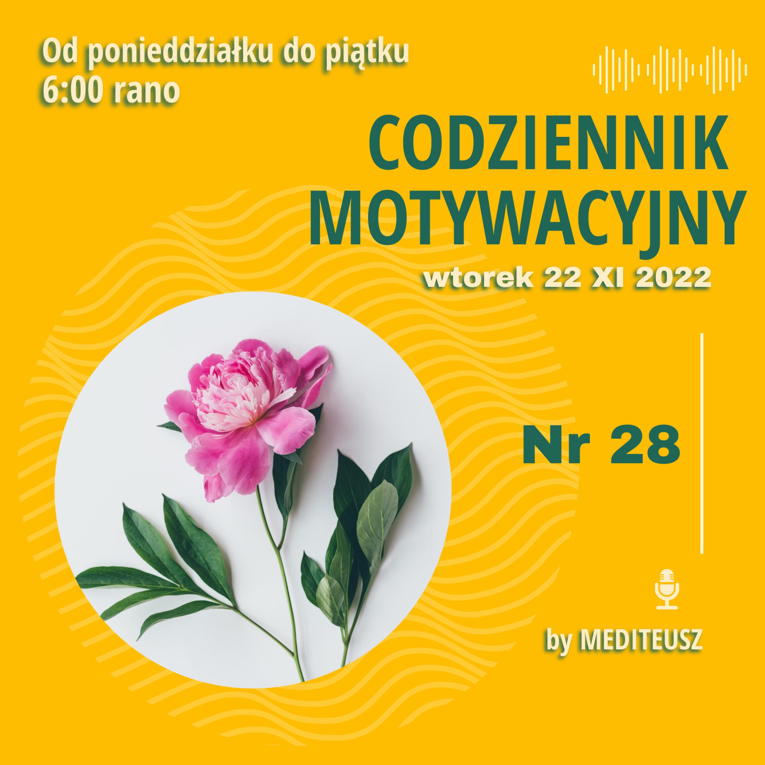 CODZIENNIK MOTYWACYJNY #28 / 22 XI 2022 WTOREK / DLACZEGO TRUDNO WPROWADZAĆ ZMIANY episode artwork