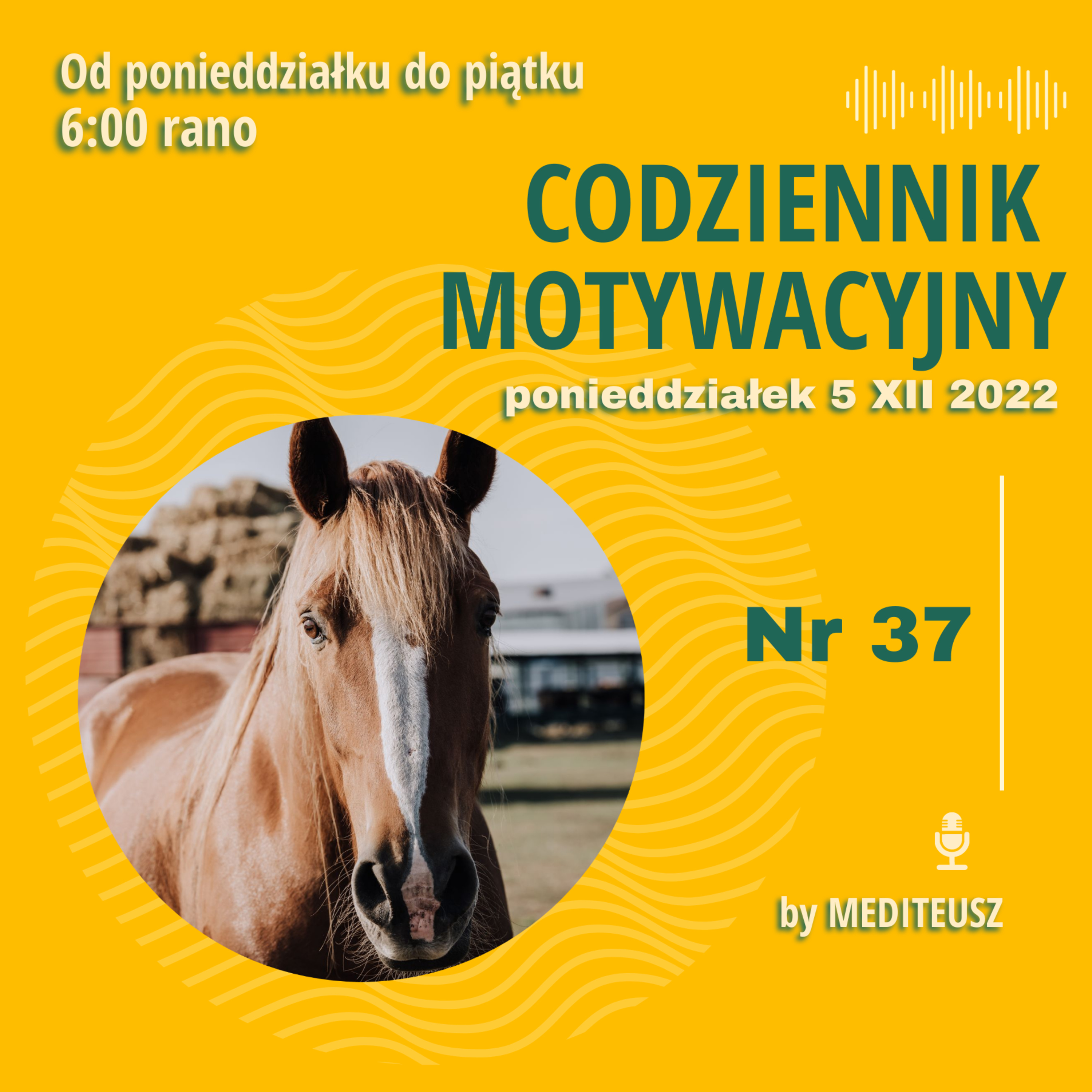 CODZIENNIK MOTYWACYJNY #37 5 XII 2022 PONIEDZIALEK episode artwork