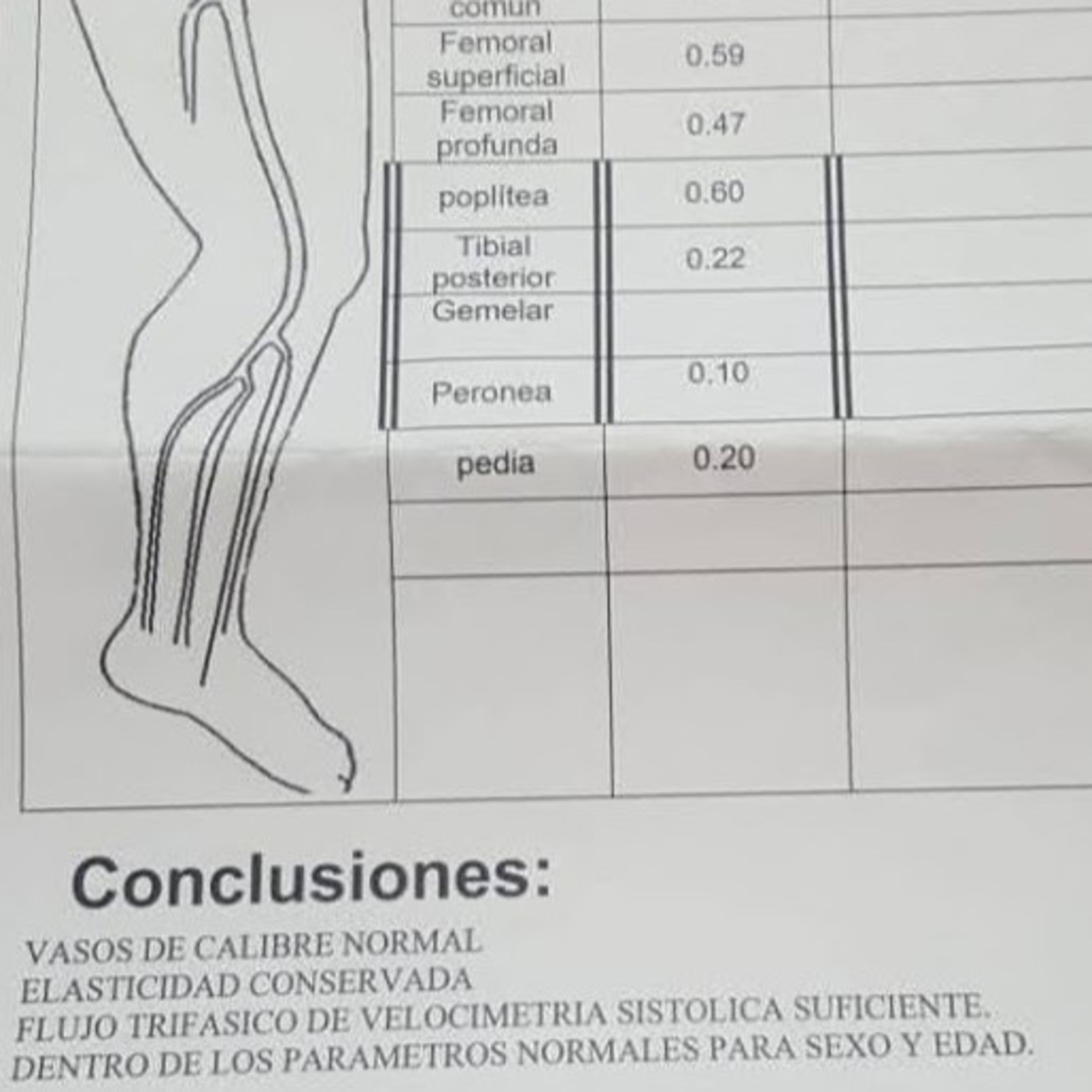Griselda Donatucci Agua De Mar, Salud y Vida