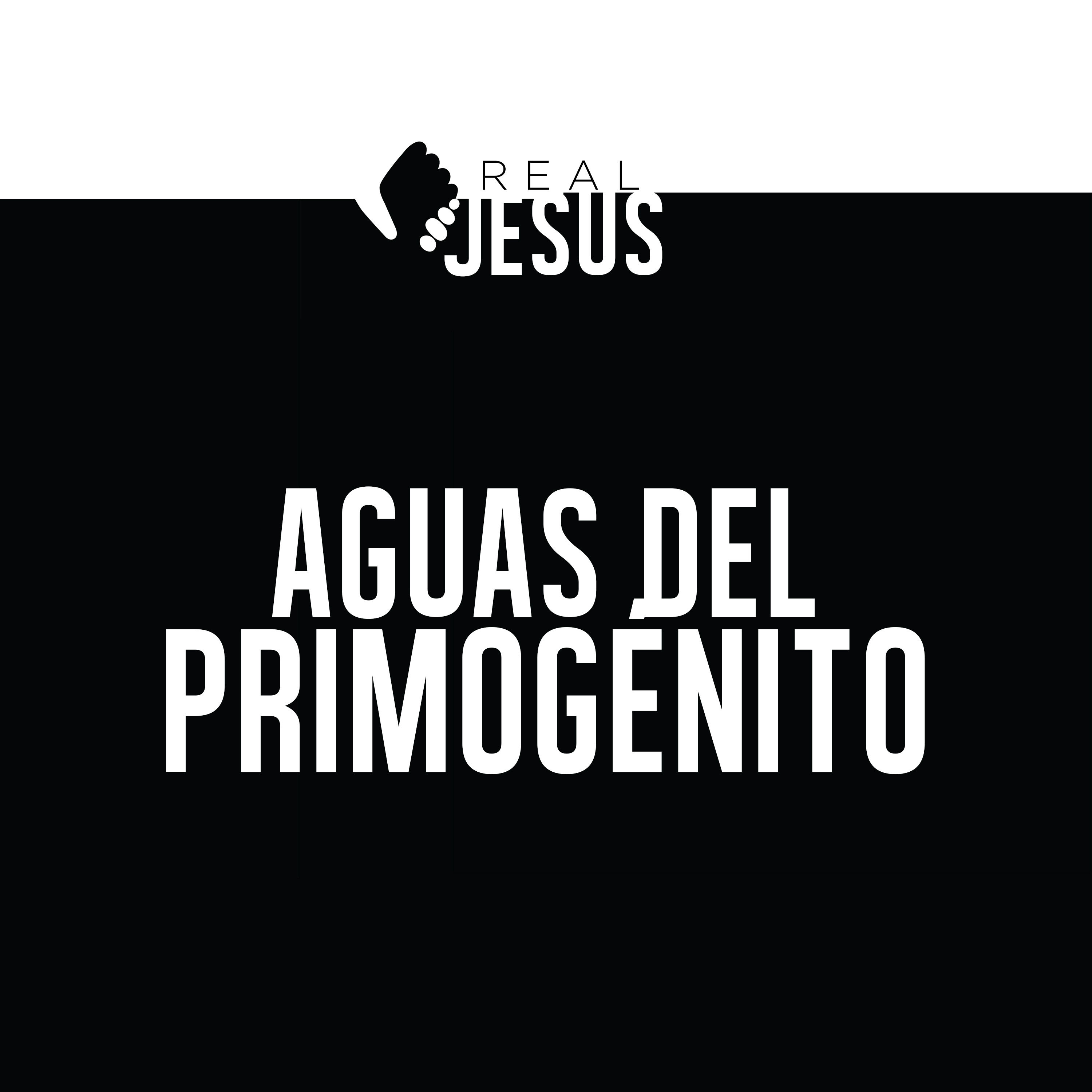 Real Jesus