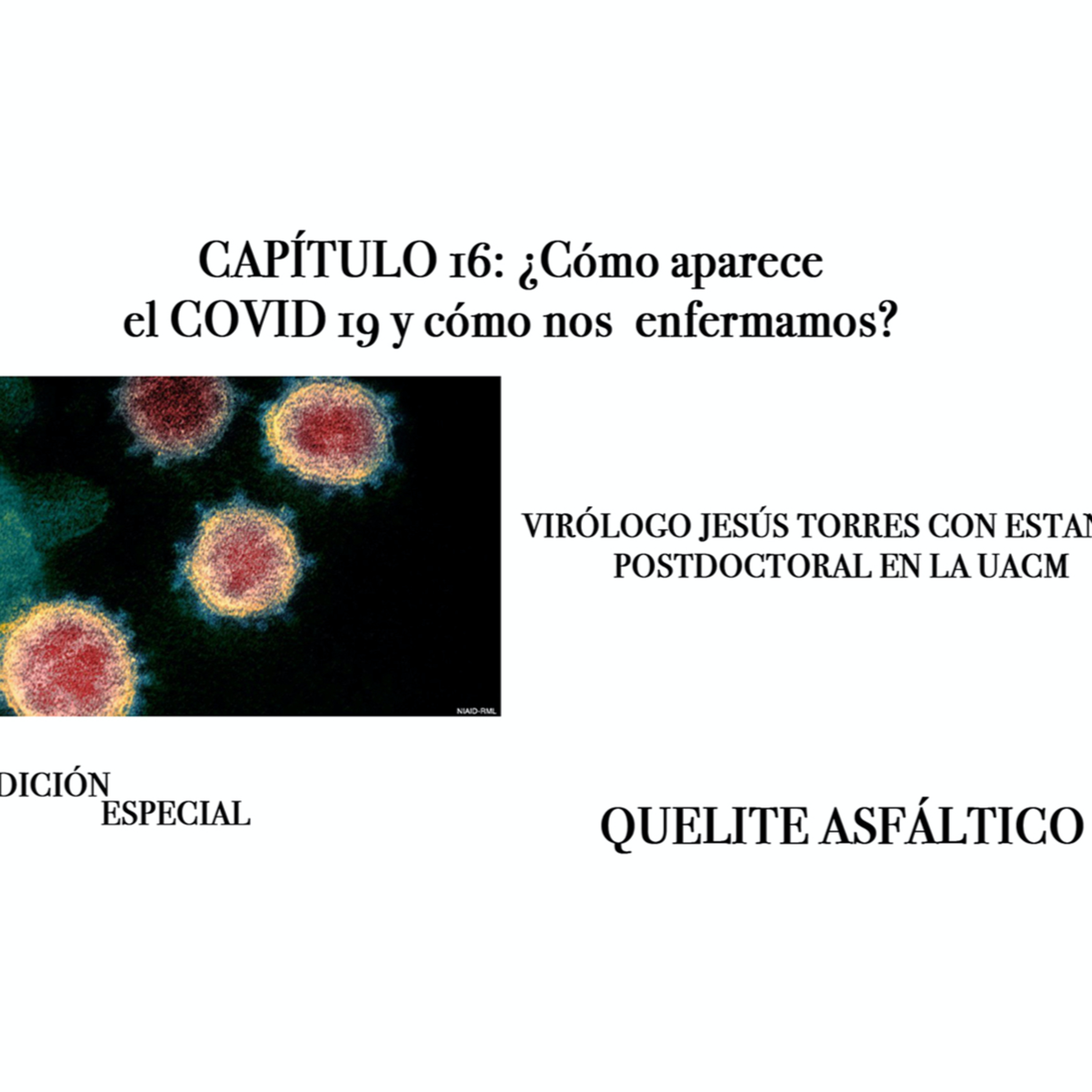 Quelite Asfáltico