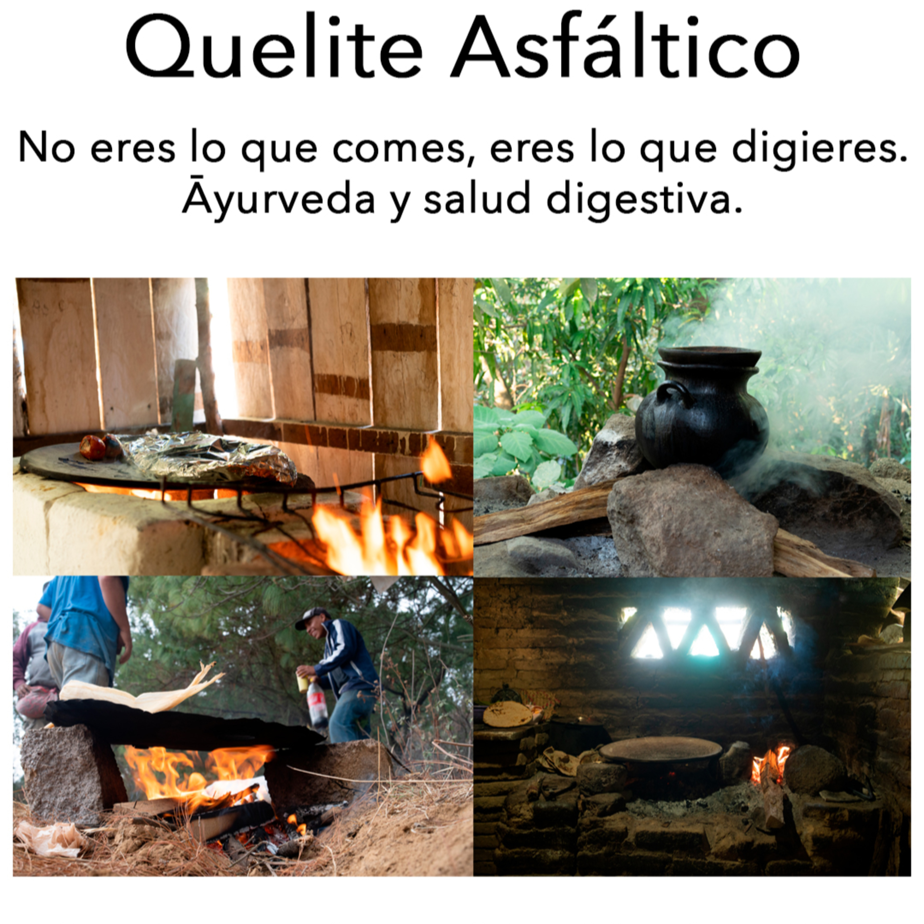 Quelite Asfáltico