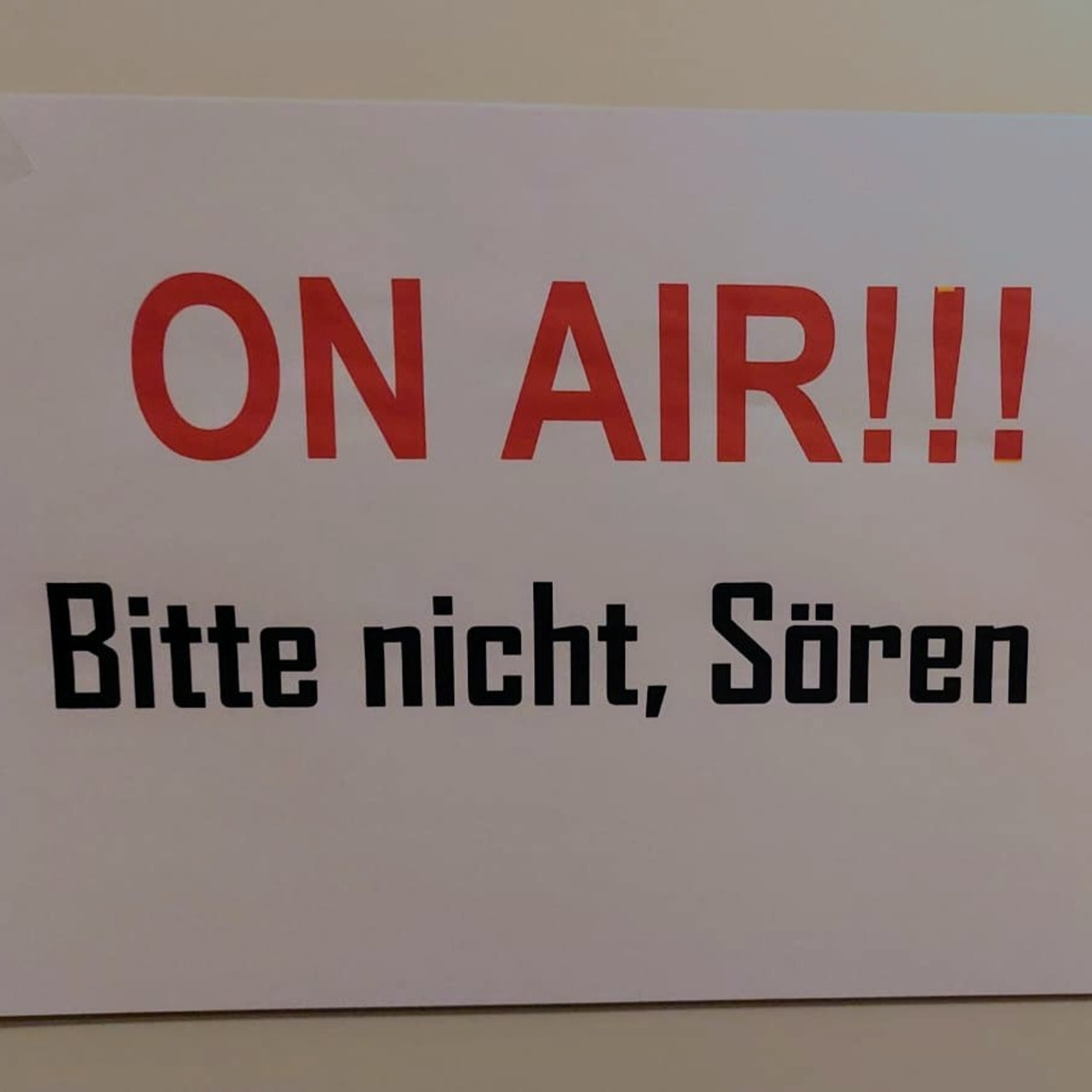 Die späten Vögel