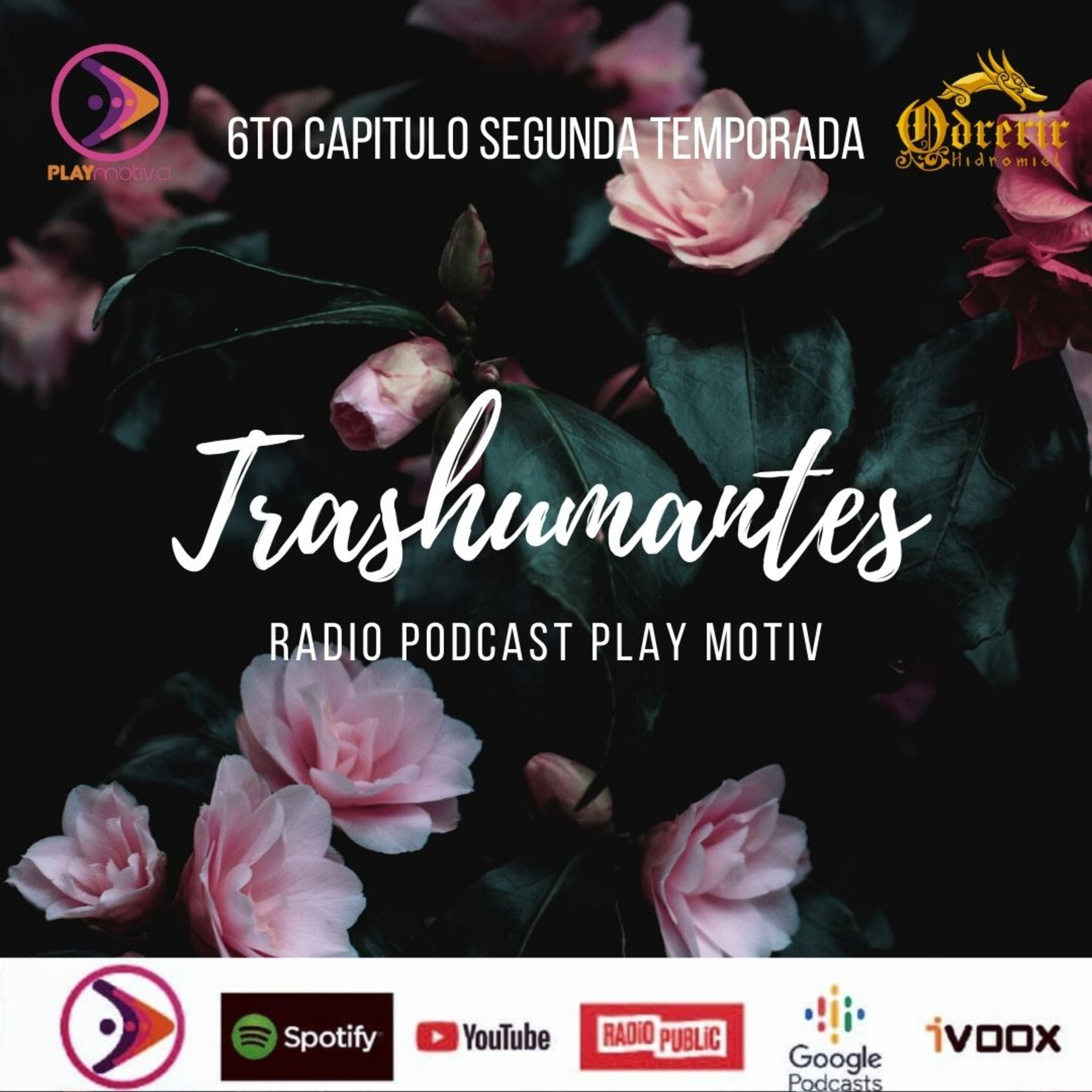 Radio Play Motiv