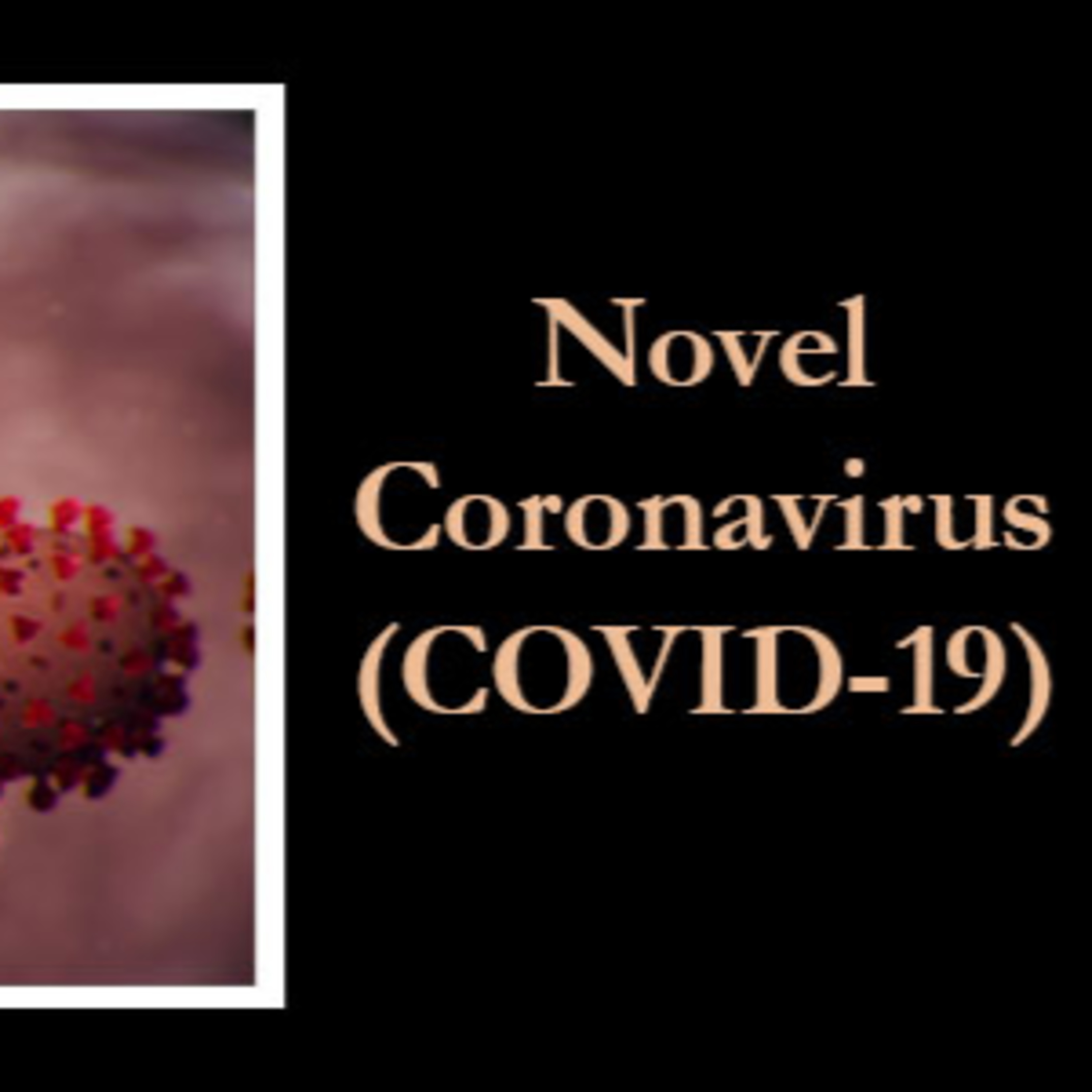 What is the Coronavirus and how to Fight it episode artwork