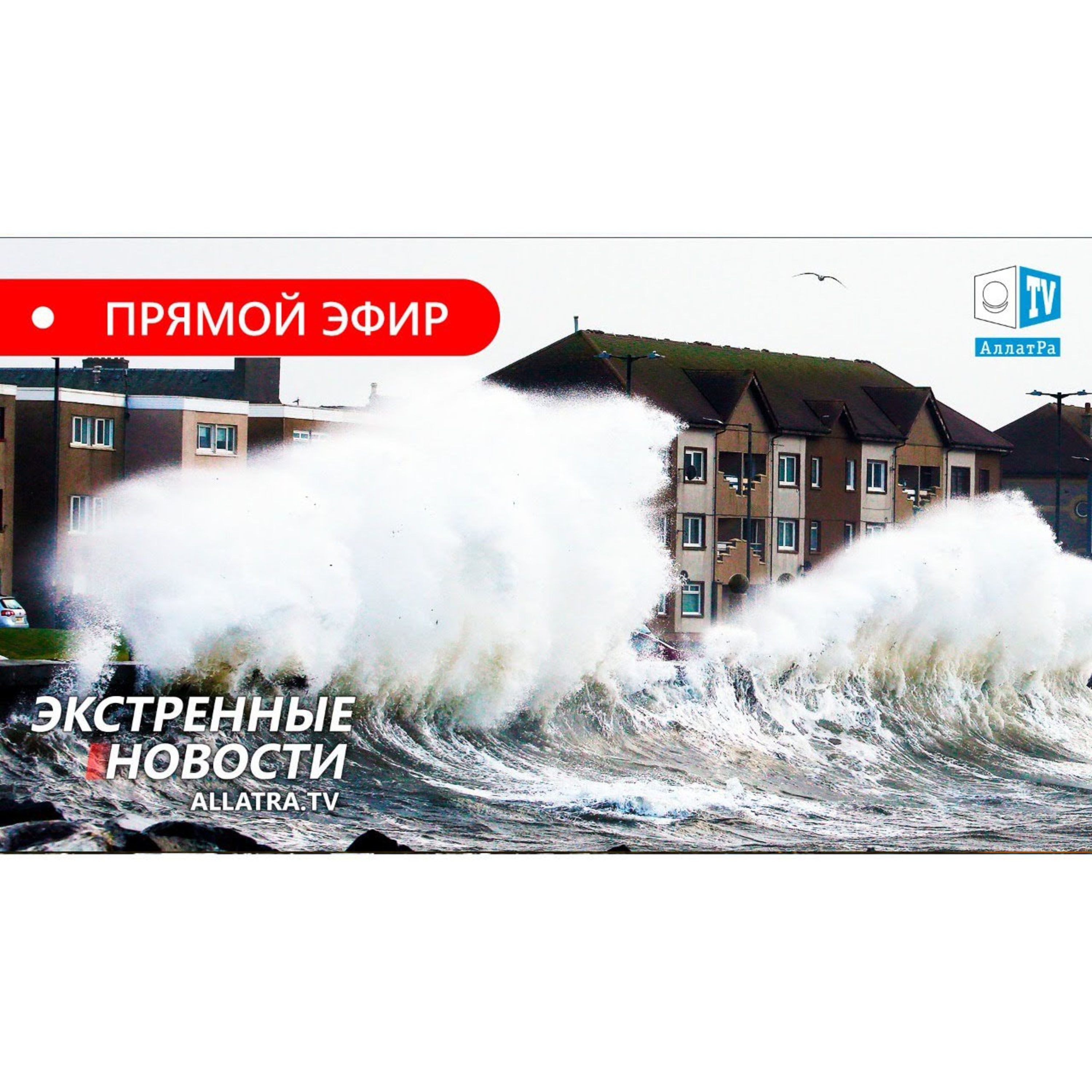 Климатический кризис. Экстренные новости.