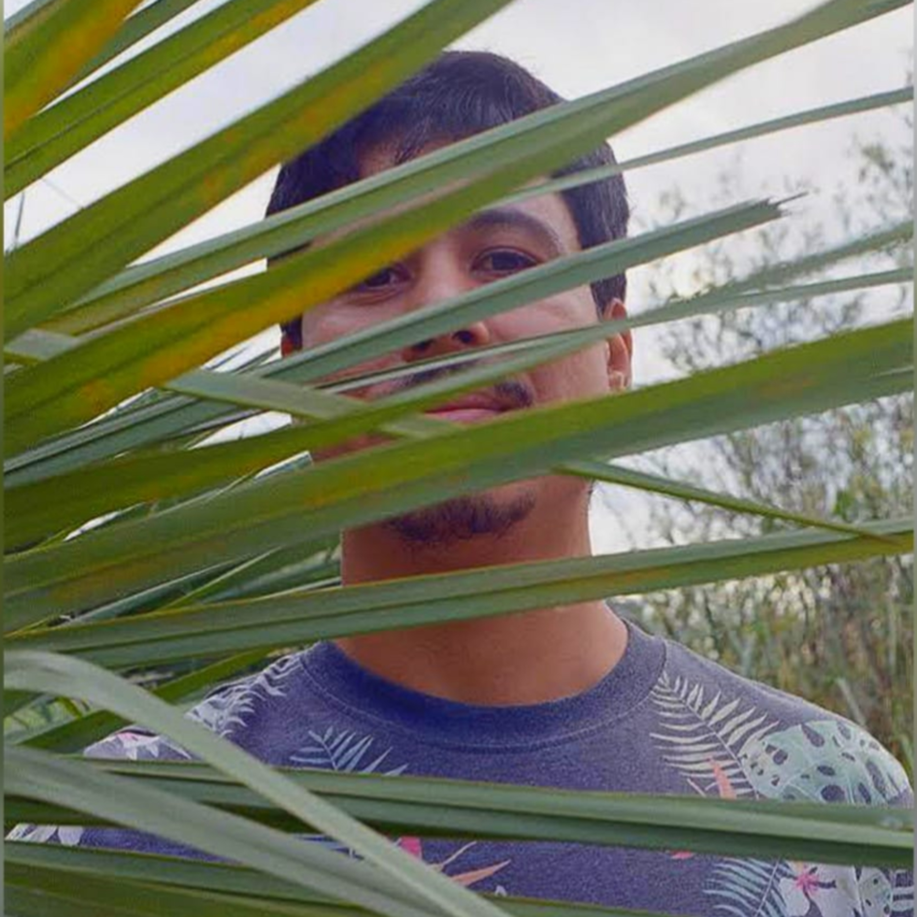 Vine por la Música