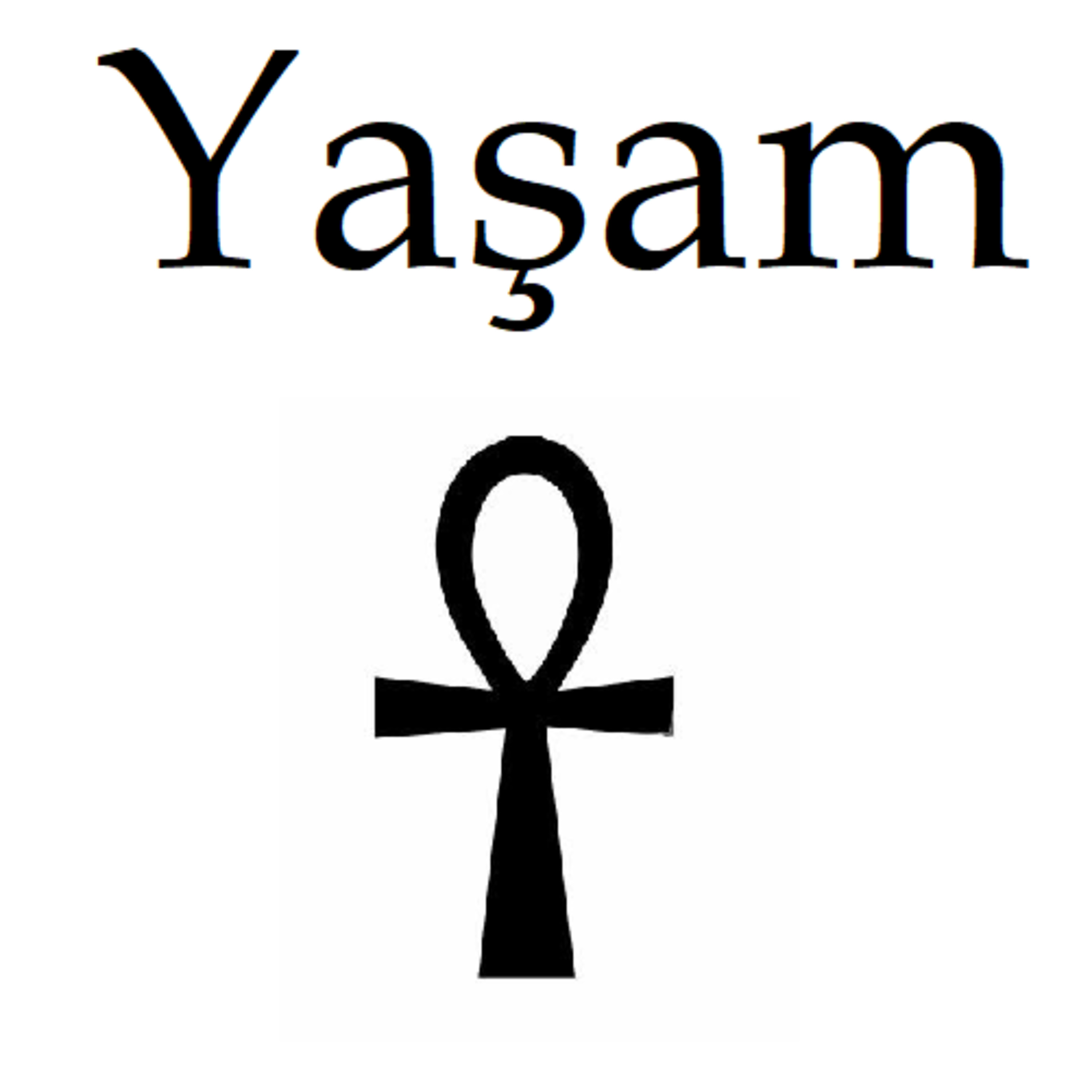 Gerçeğe Yolculuk