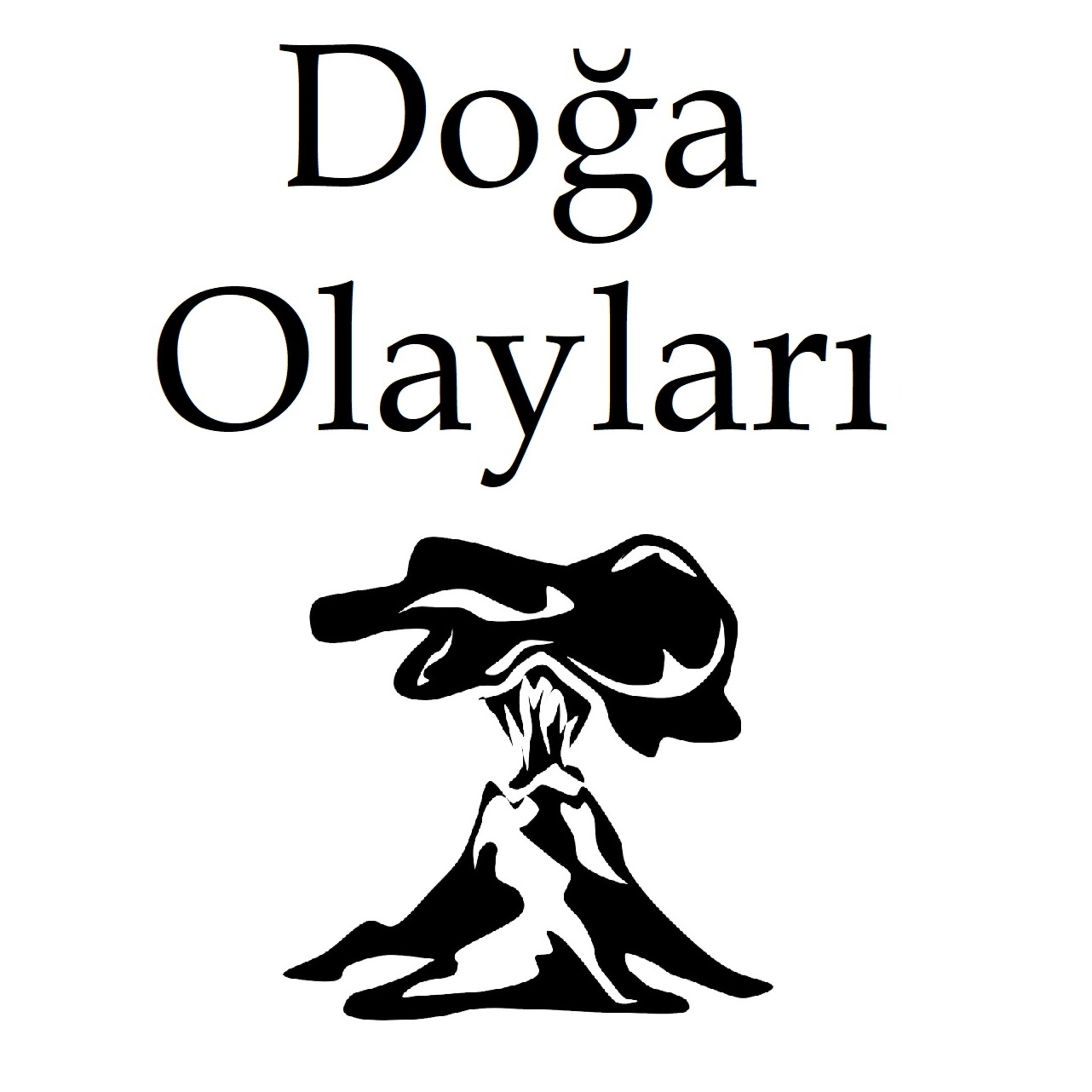 Gerçeğe Yolculuk