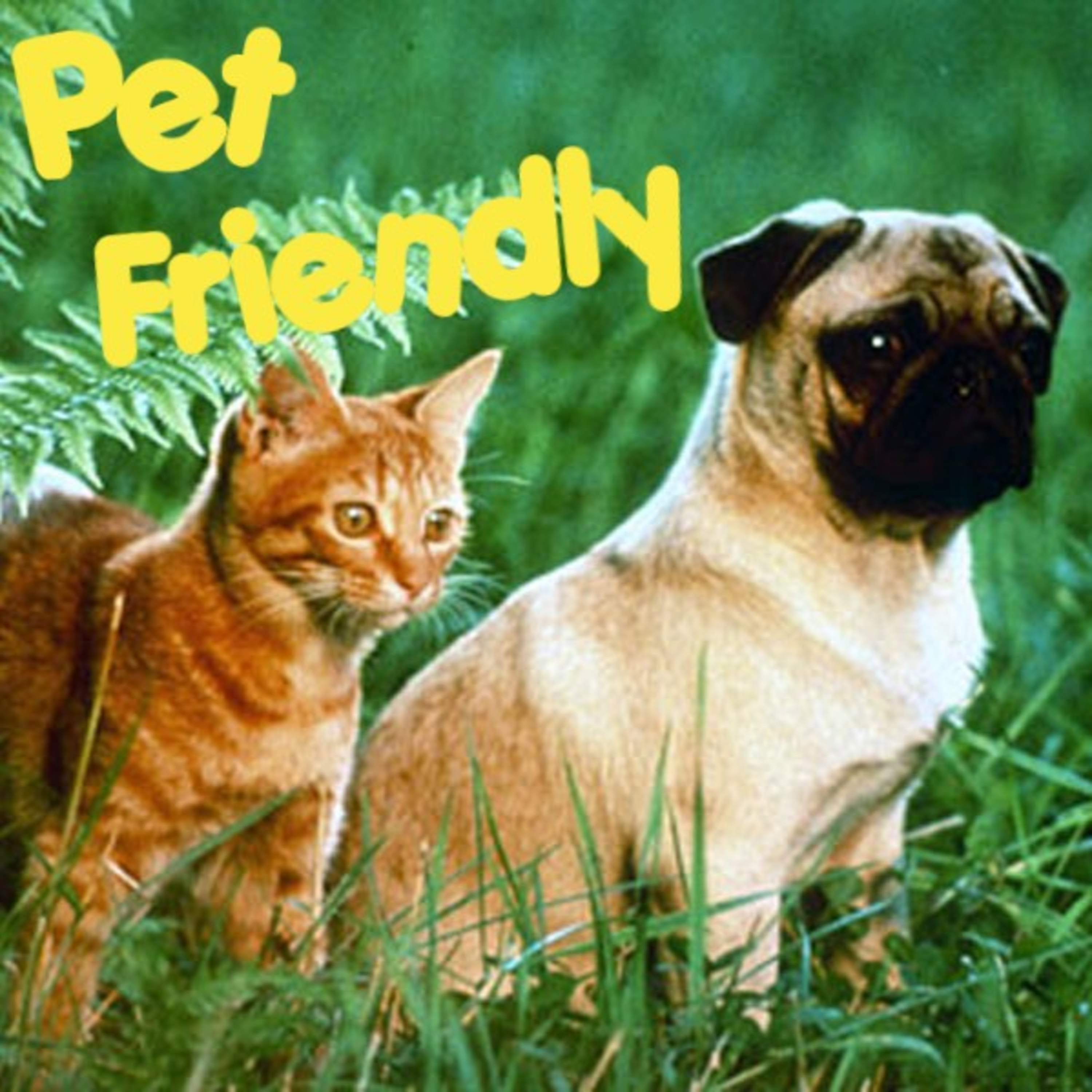 PET FRIENDLY  episode artwork