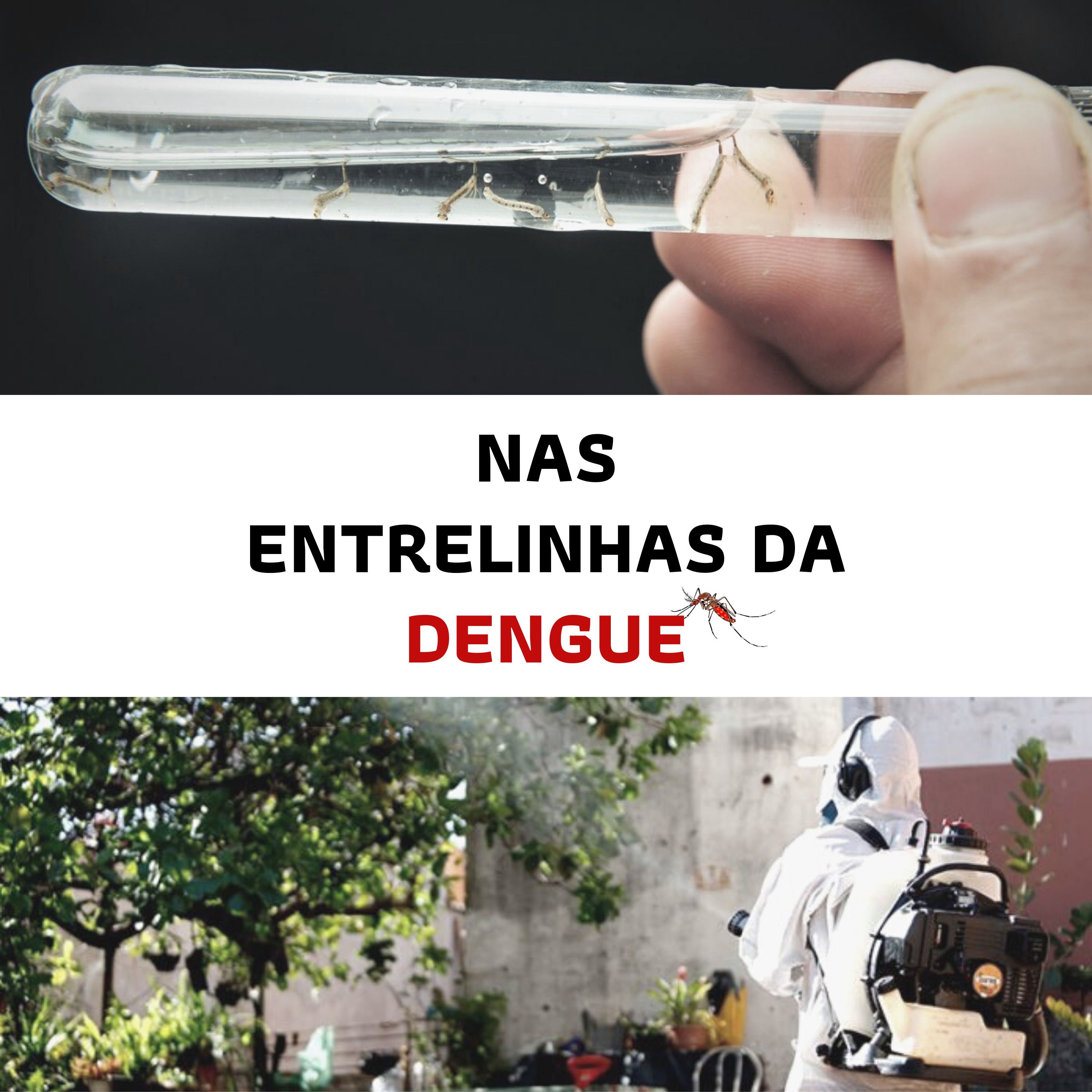 Podcast Entrelinhas
