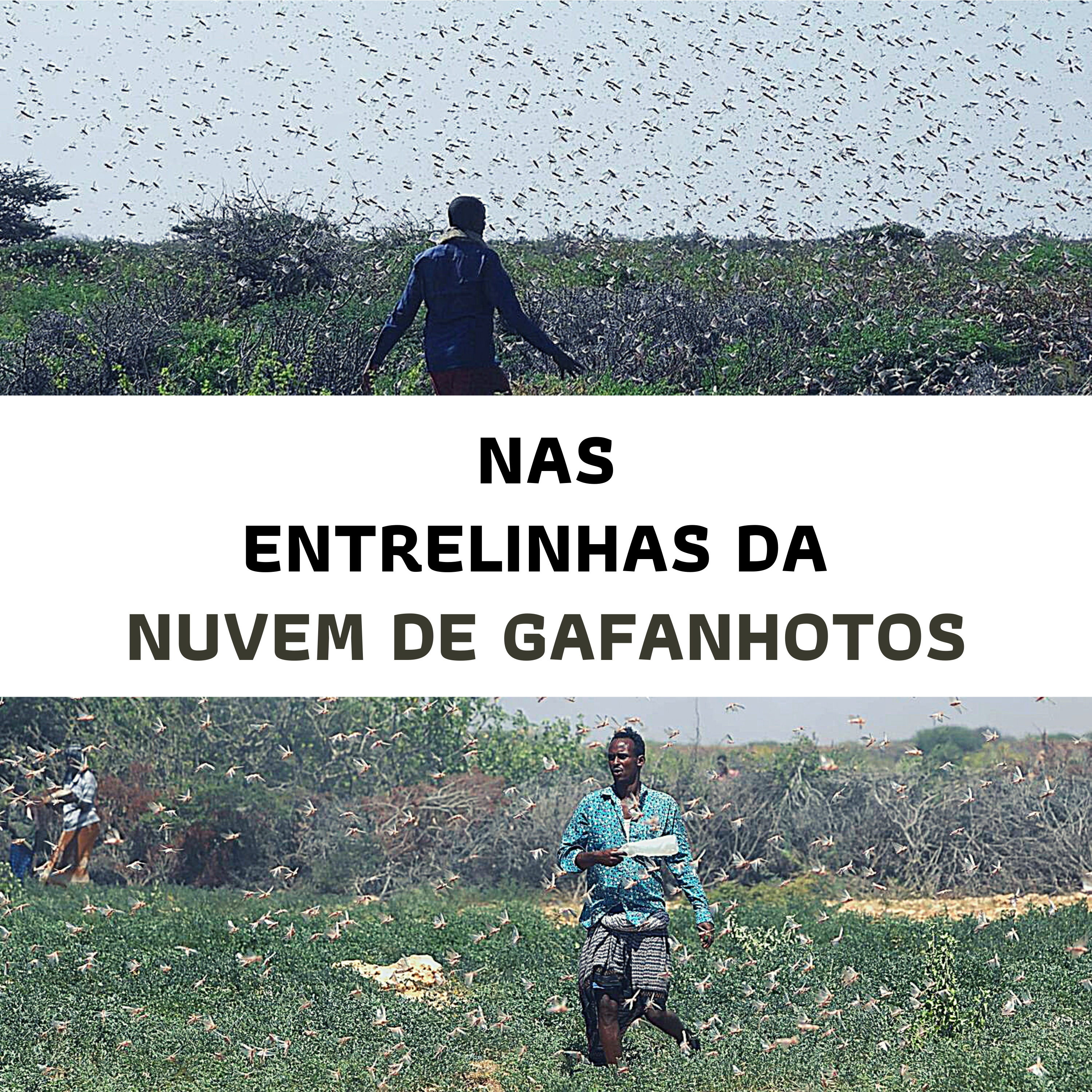 Podcast Entrelinhas