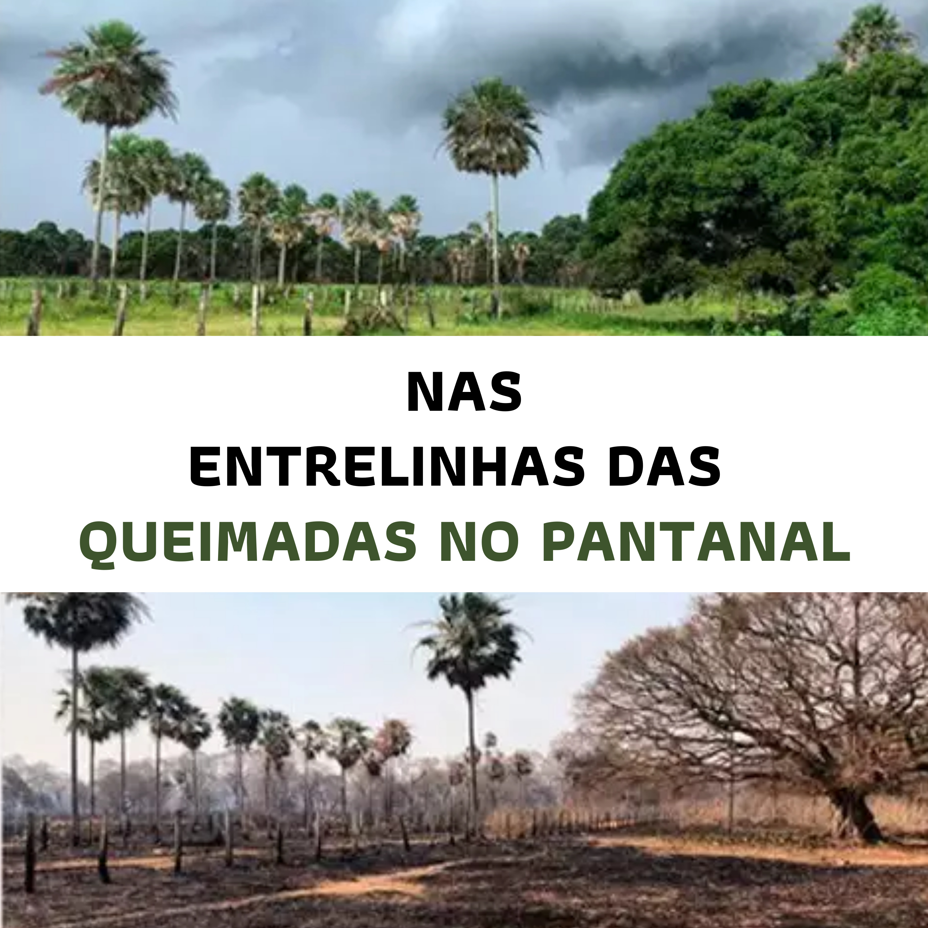 Podcast Entrelinhas