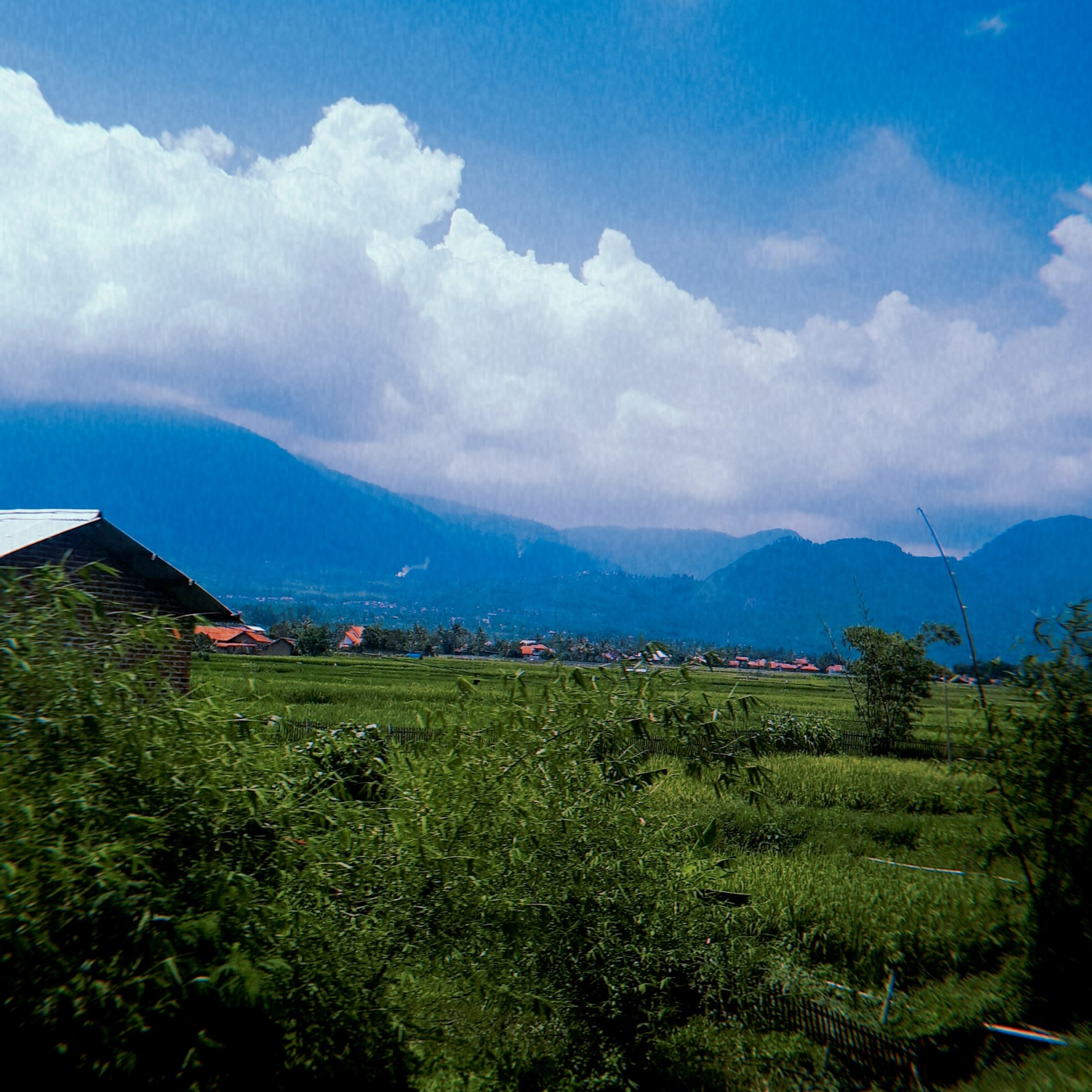 bahasan sampah mingguan