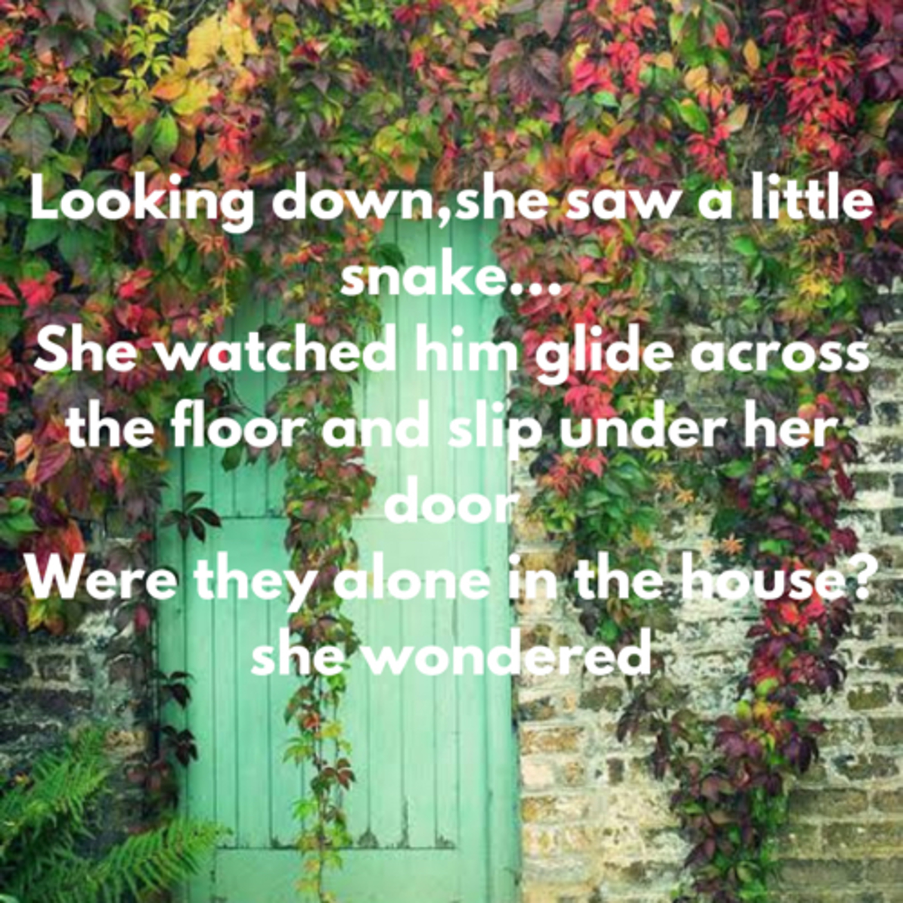 Chapter 1 The Secret Garden 