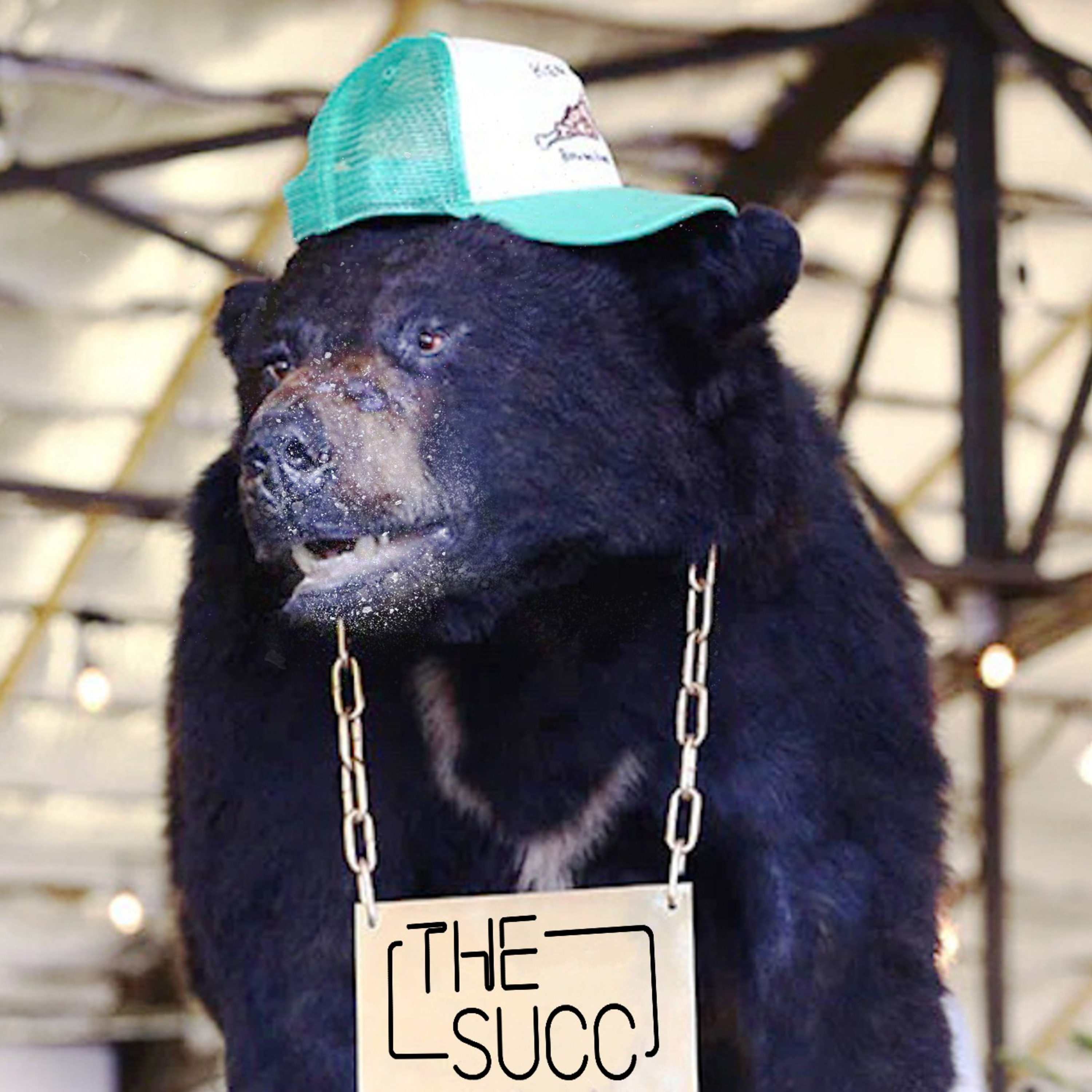 The Succ